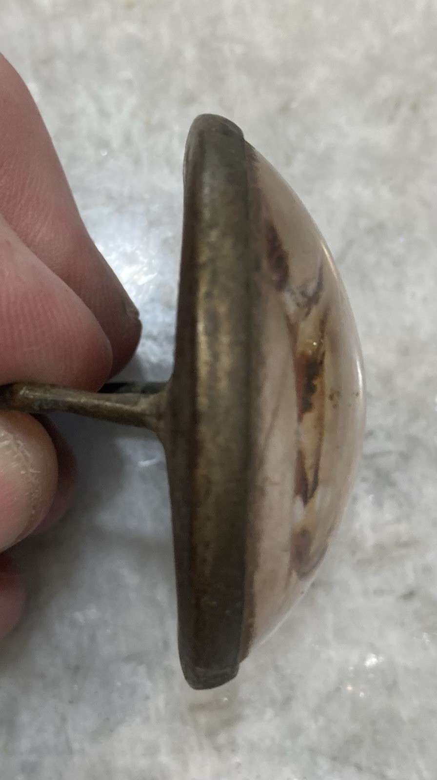 Antique Original Vintage Horse Bridle Rosette Bird Dog Brass And Glass Free Ship