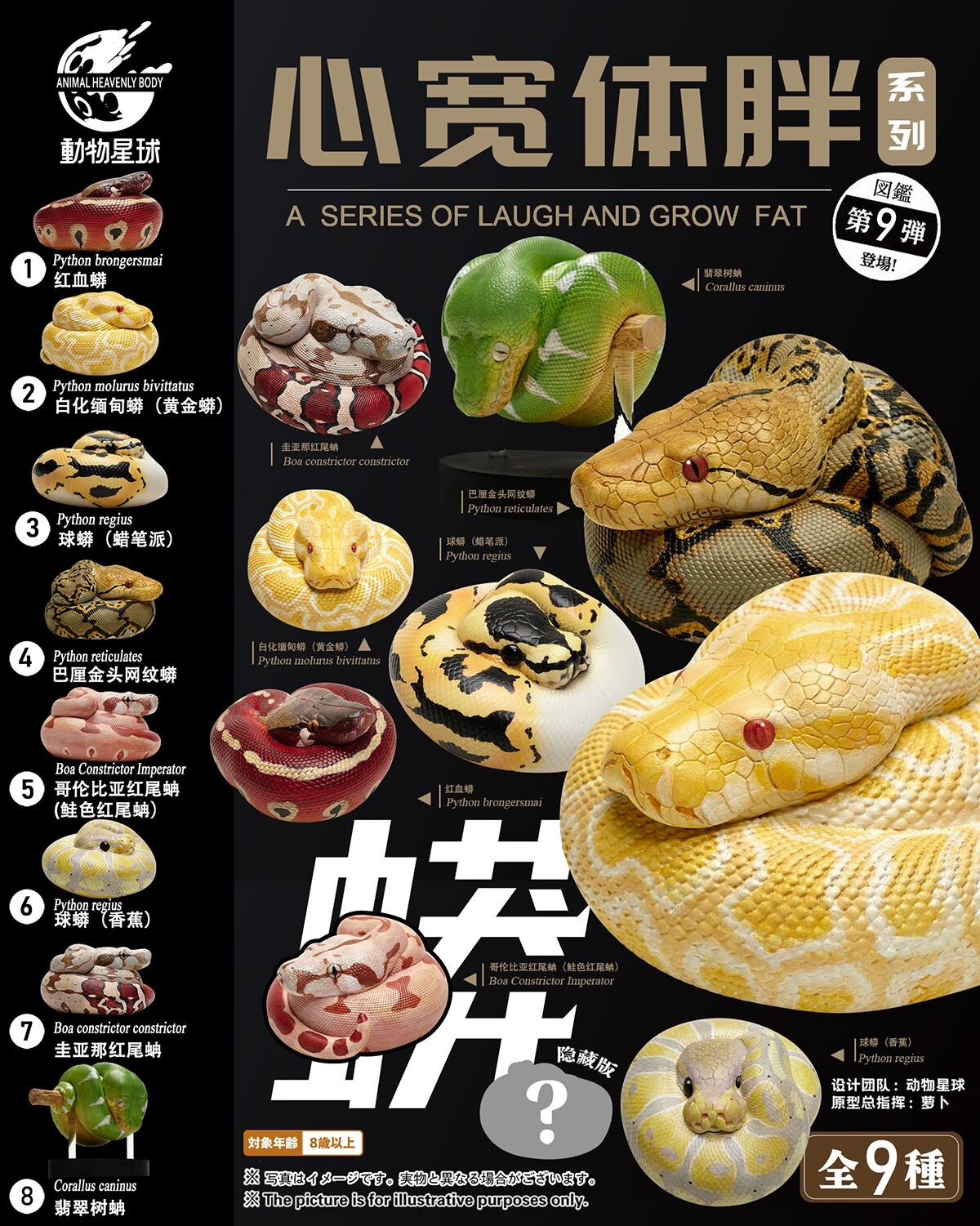 【In-Stock】 Animal Heavenly Body Red-tailed Boa constrictor Snake Statue