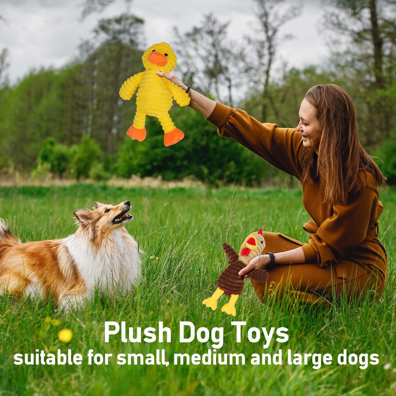 5 Pack Plush Toys Assortment Puppy Pet Squeak Toy for Small Medium Large Dogs