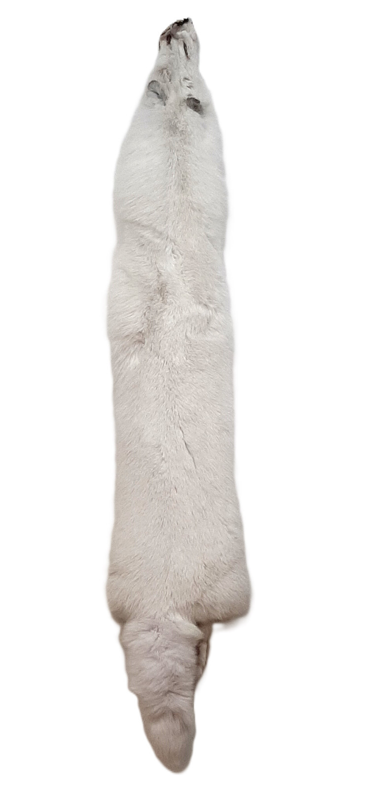 Arctic White Fox Pelt, Ranched - Densely Furred and HUGE