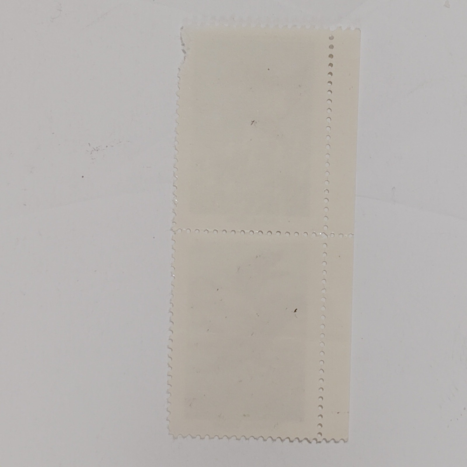 2 NWF Conservation Stamps 1962 Black Duck & 1954 Canada Goose, Cinderella Labels