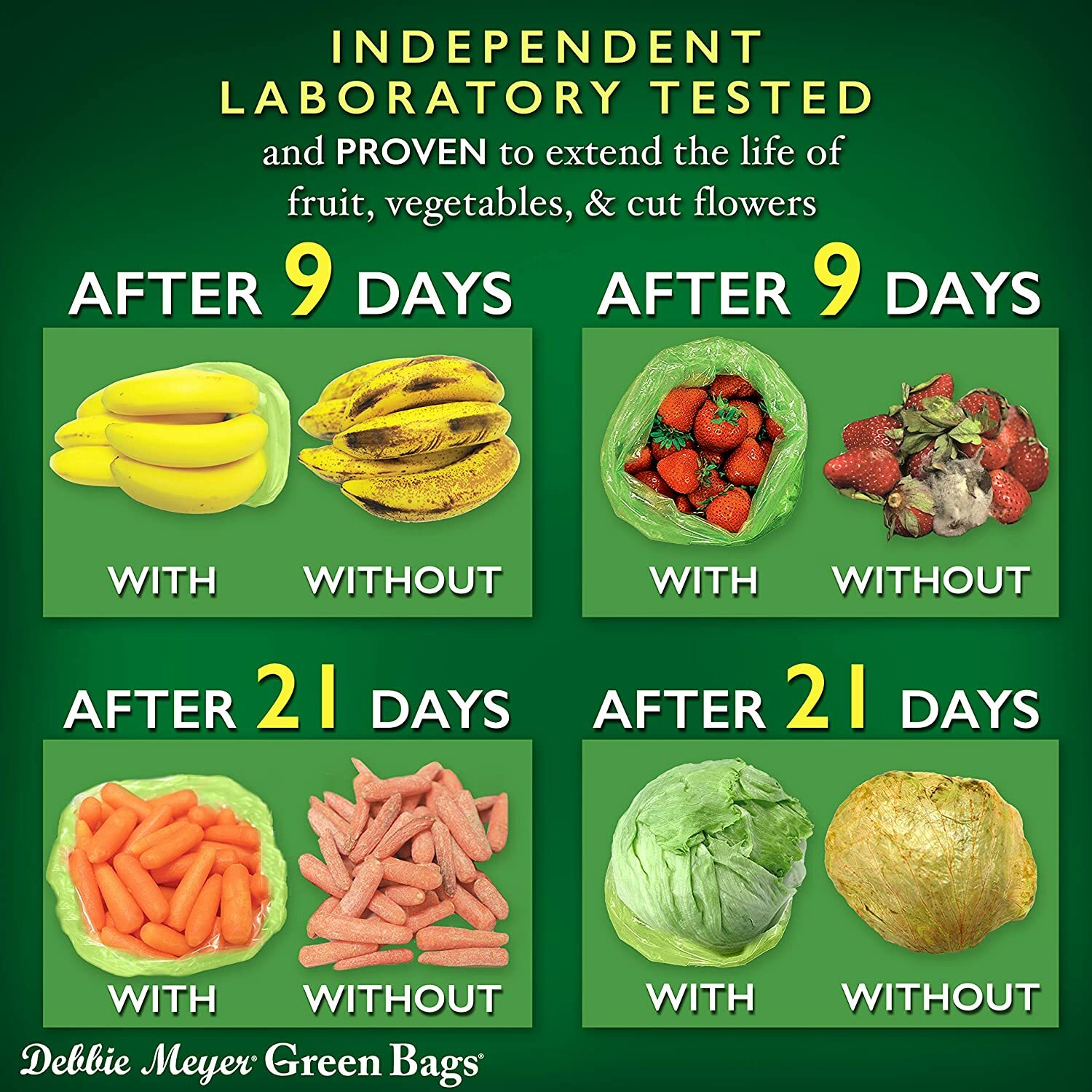 Debbie Meyer Green Bags 20-Pack (8M 8L 4XL) Keeps Fruits Vegetables Flower Fresh