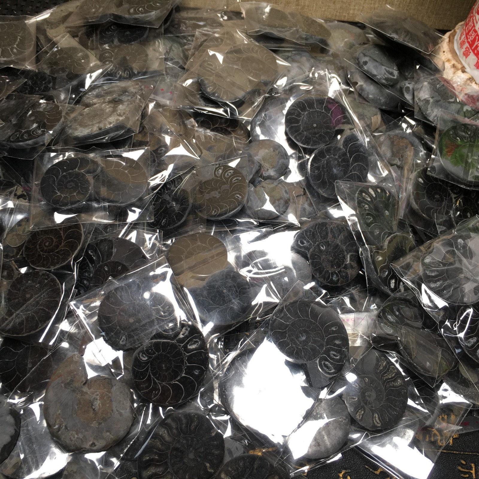 10 Pairs of Split black Ammonite Specimen Shell Healing