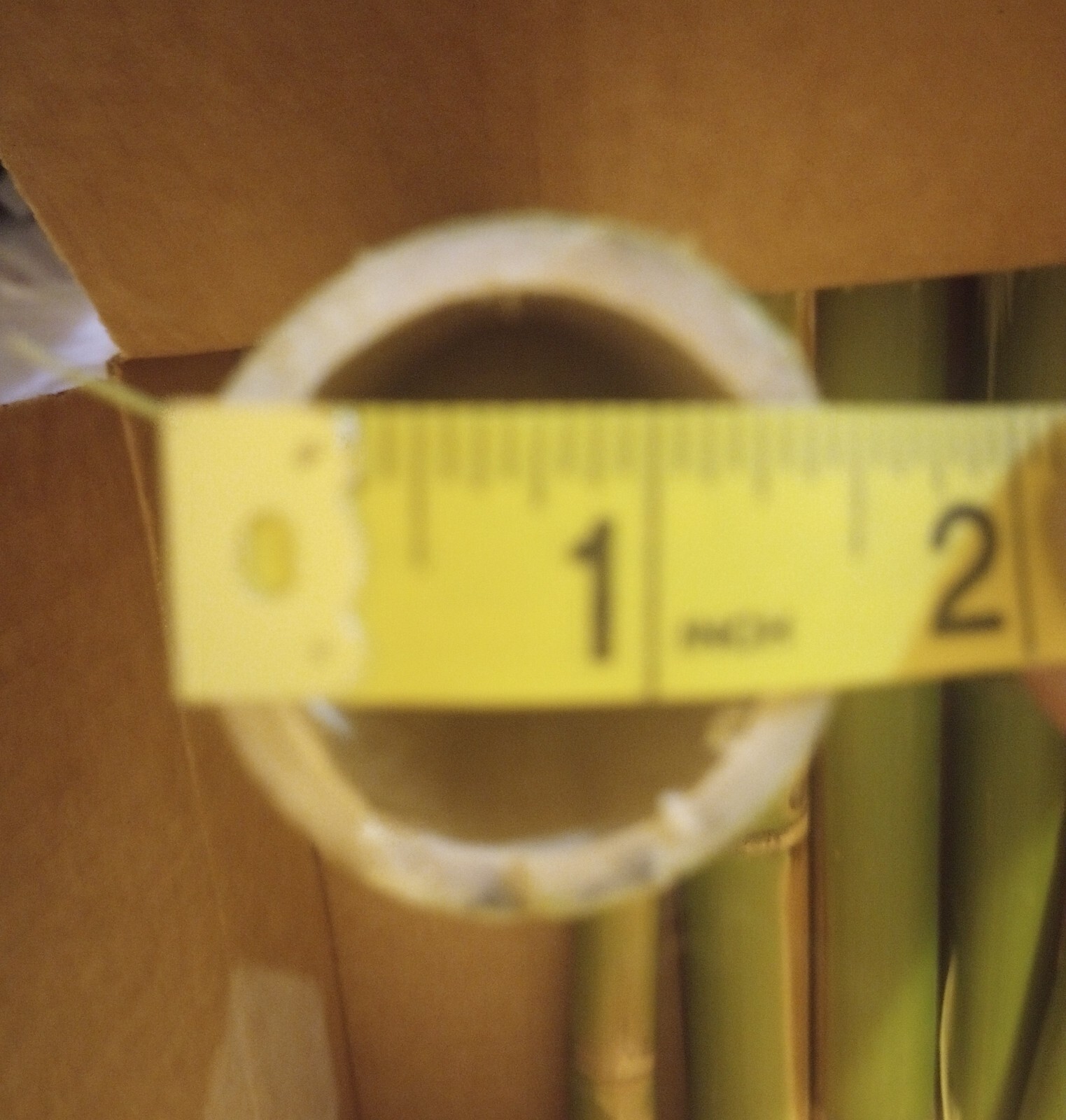 10 Bamboo 12" Poles Variety Sizes Decoration Tiki 1' Make Your Own Bee Hive