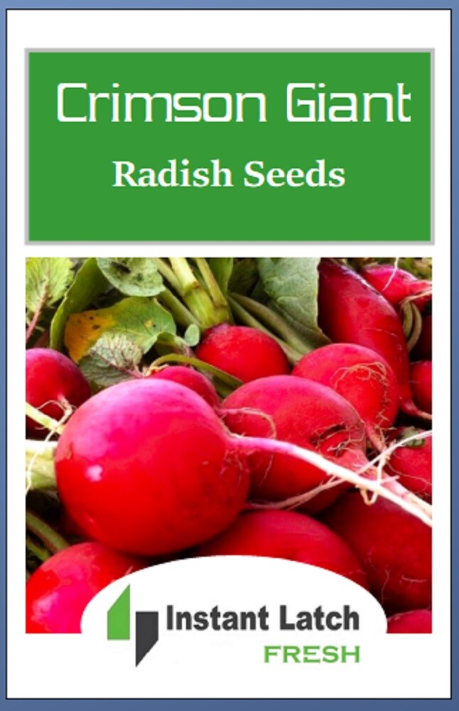Crimson Giant Radish Seeds | NON-GMO | Heirloom | Fresh Garden Seeds
