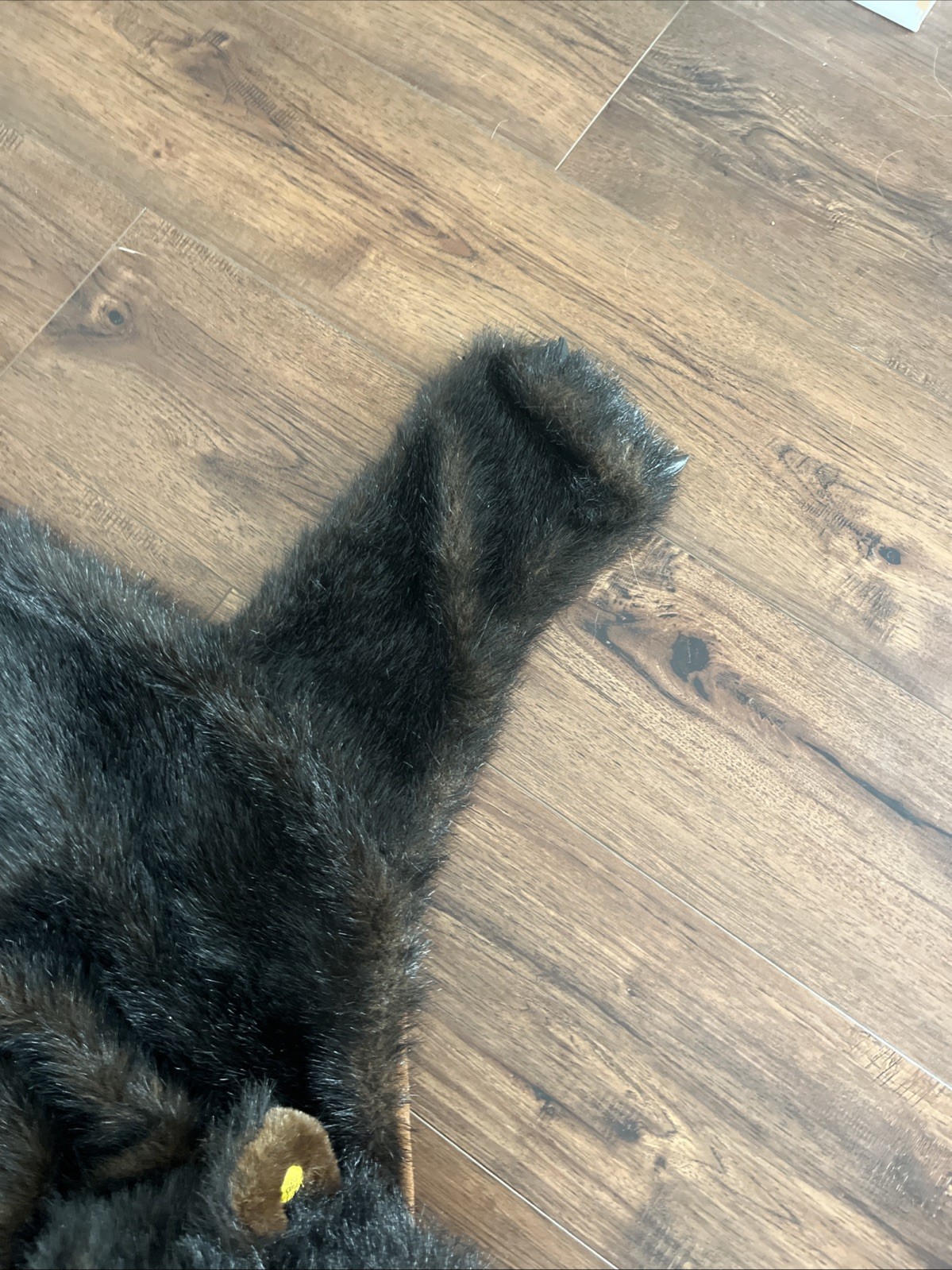 GEMMY Bud The Talking Bear Rug Vintage RARE Battery Powered Tested Working