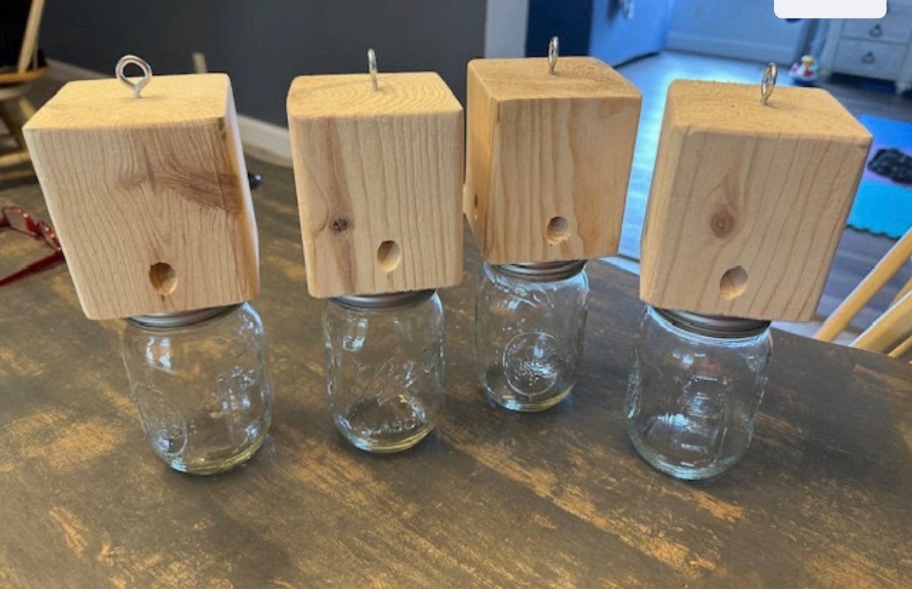 Carpenter Bee Traps SOFT PINE Boring Bee (4 Pack) W/ BALL Jar!! FAST SHIPPING!!