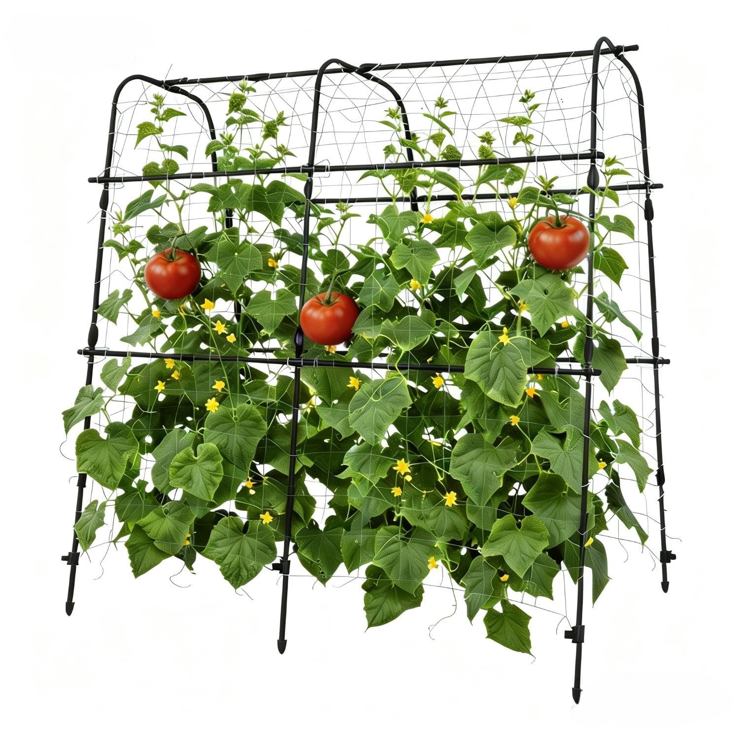 U-Shape Garden Arch Trellis for Climbing Plants Outdoor, Metal Plant Support