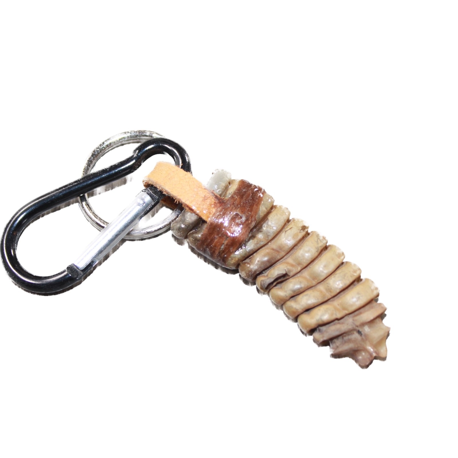 Very Large Rattlesnake Rattle Key Ring #4662 Mountain Man Key Chain