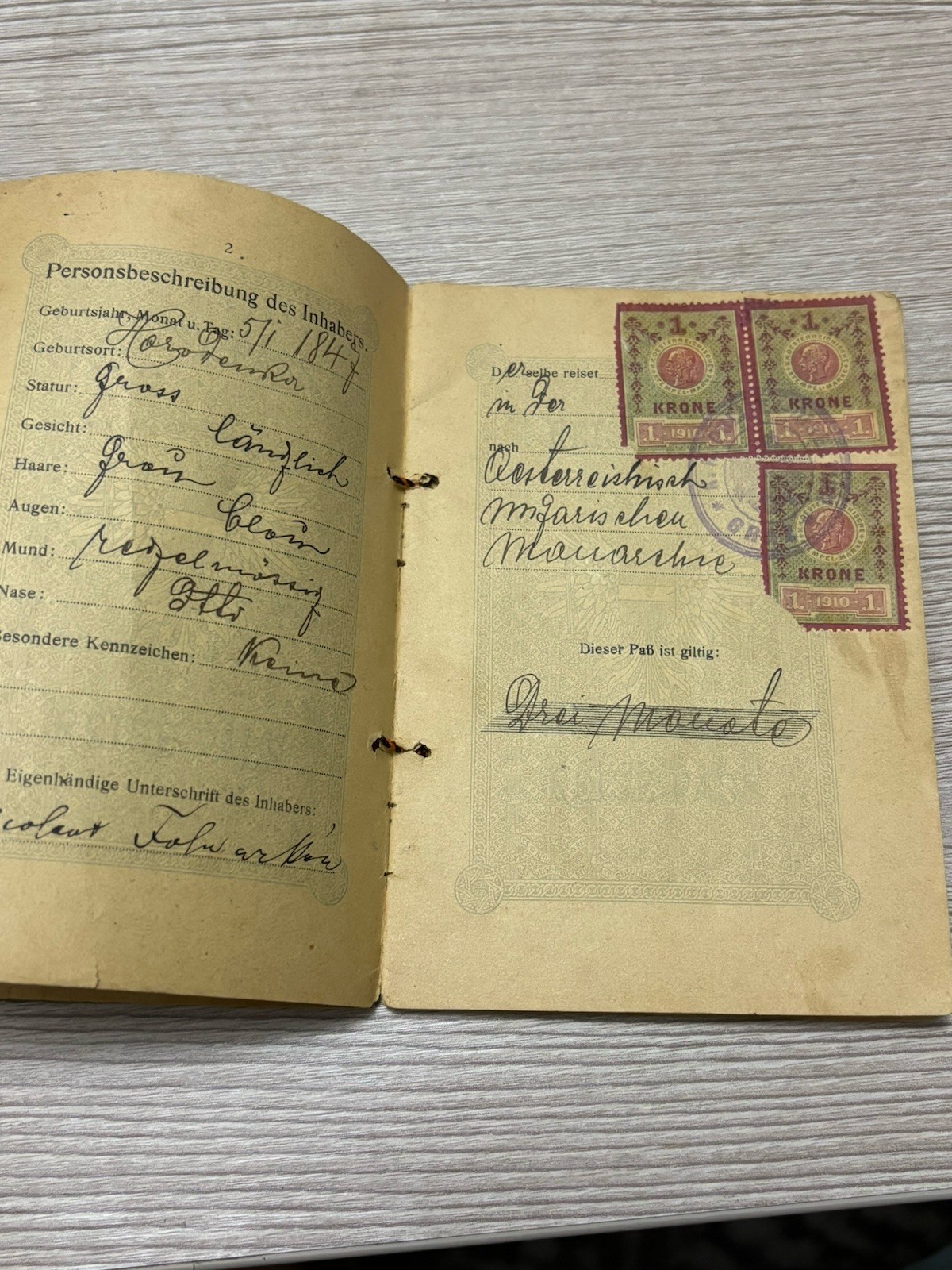 Antique Vintage Expired Austrian Hungarian Empire Documents 1910s Expired Visas