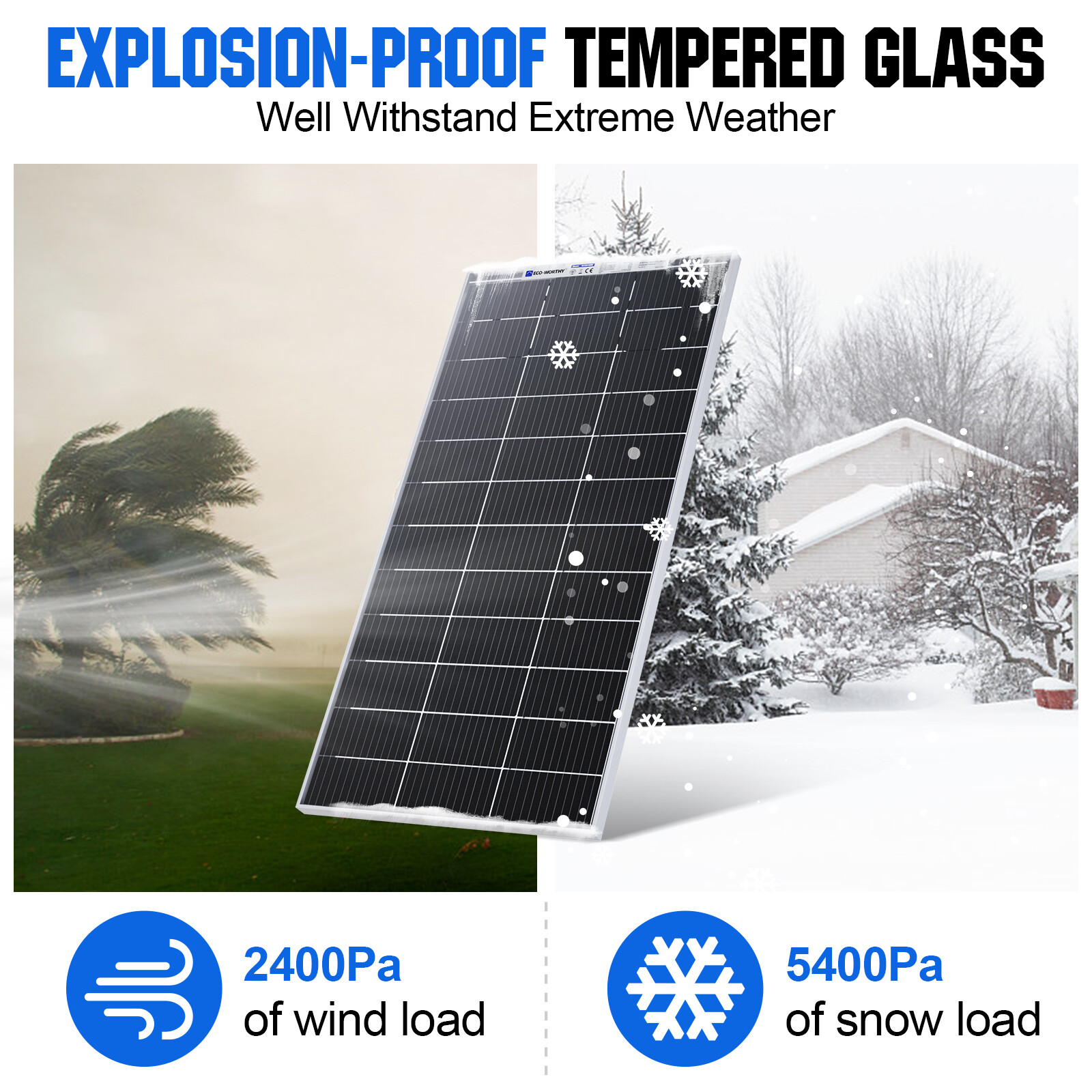 ECO-WORTHY Bifacial 195W Watt 12V Solar Panel Mono HighEfficiency PV for Sunshed