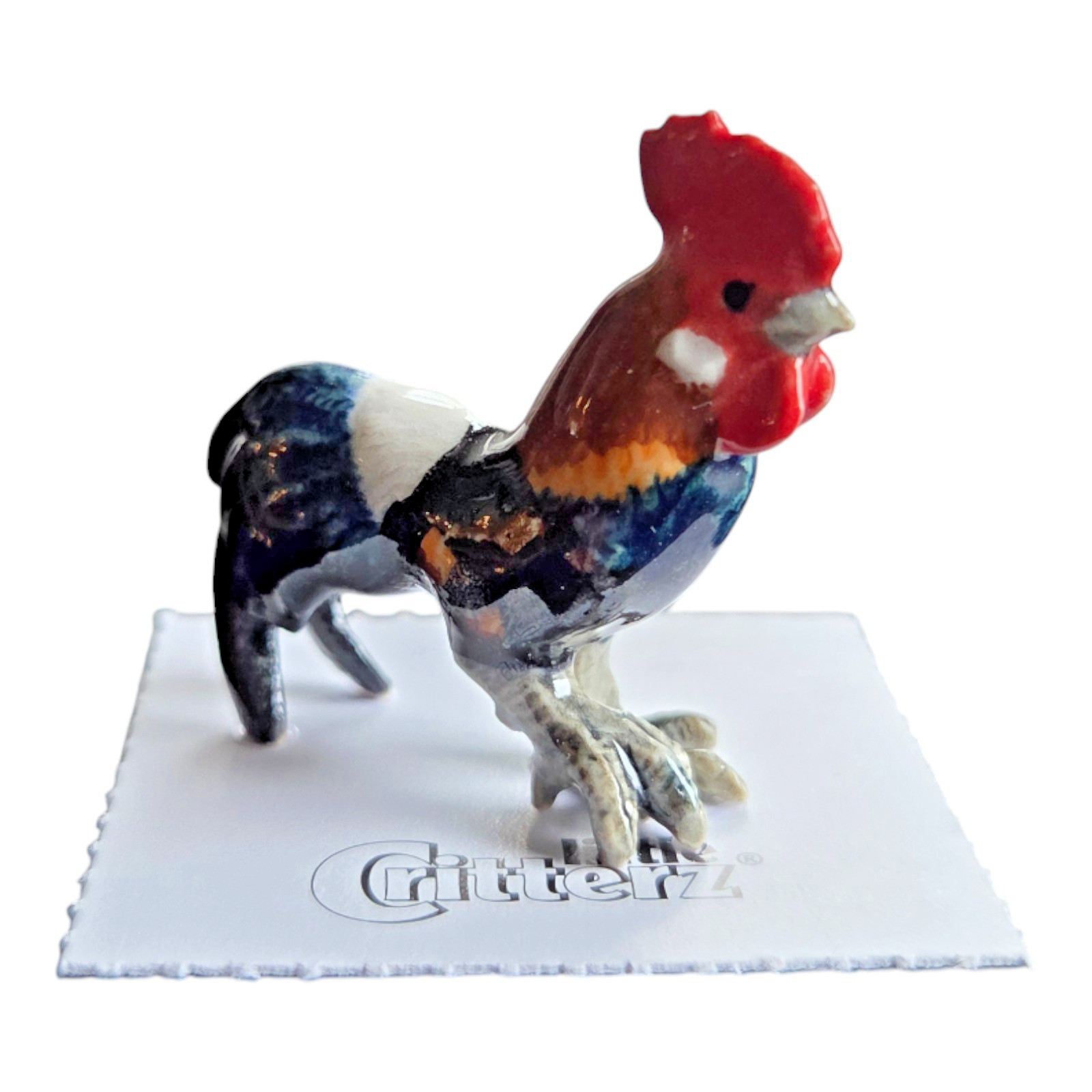 LITTLE CRITTERZ Rooster "Sydney" Miniature Figurine New FREE SHIPPING LC708