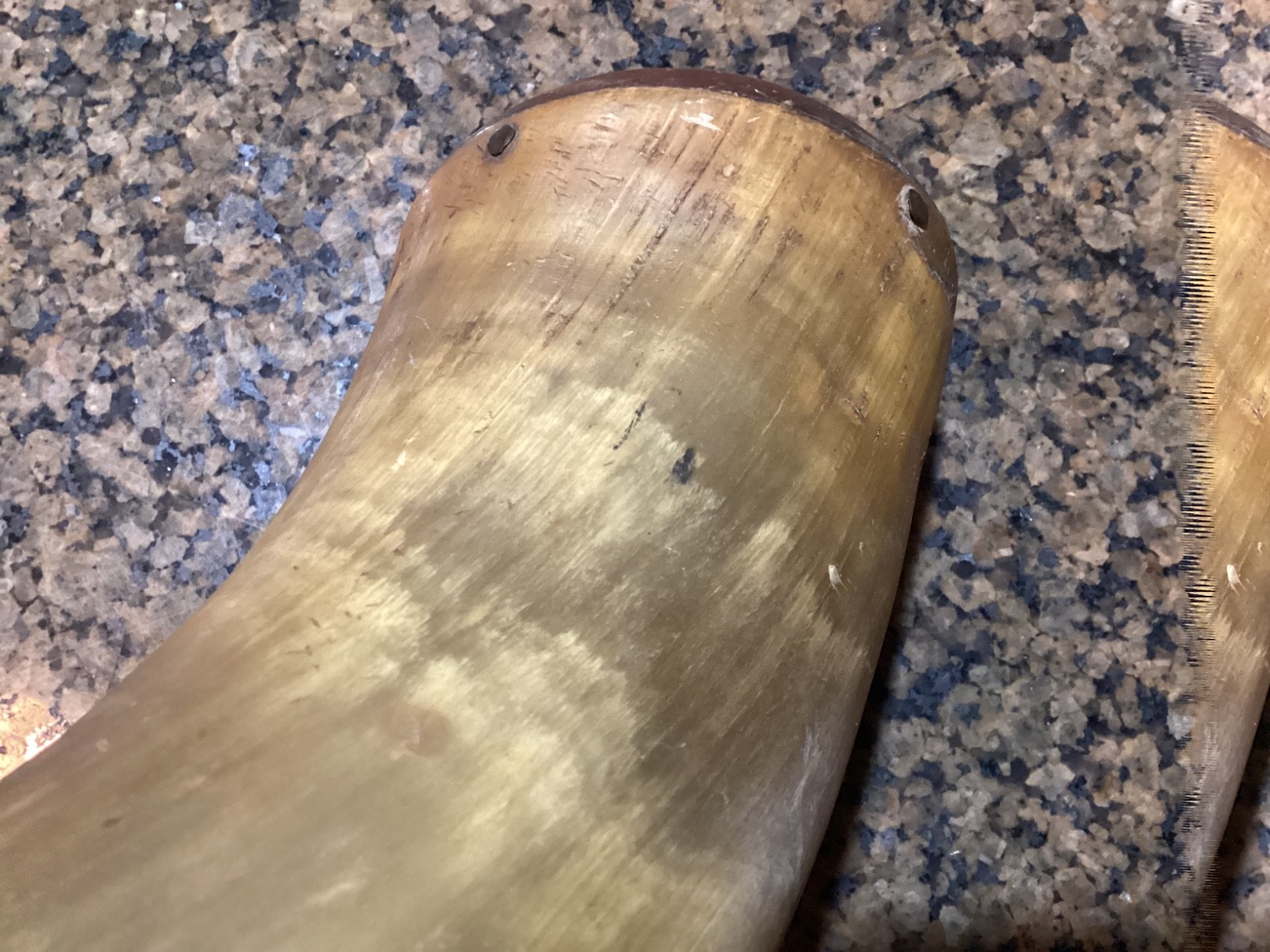 Large 18” Antique Powder Horn Engraved 1st New Jersey 1861