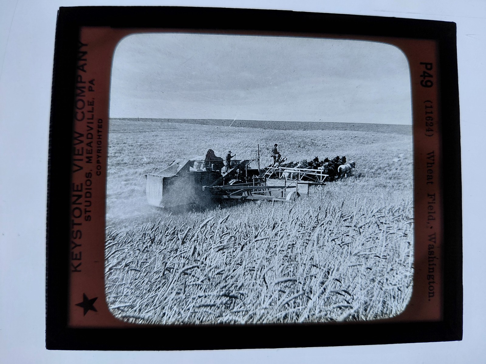 Magic Lantern Glass Slide Photo Keystone P49 Wheat Field, Washington