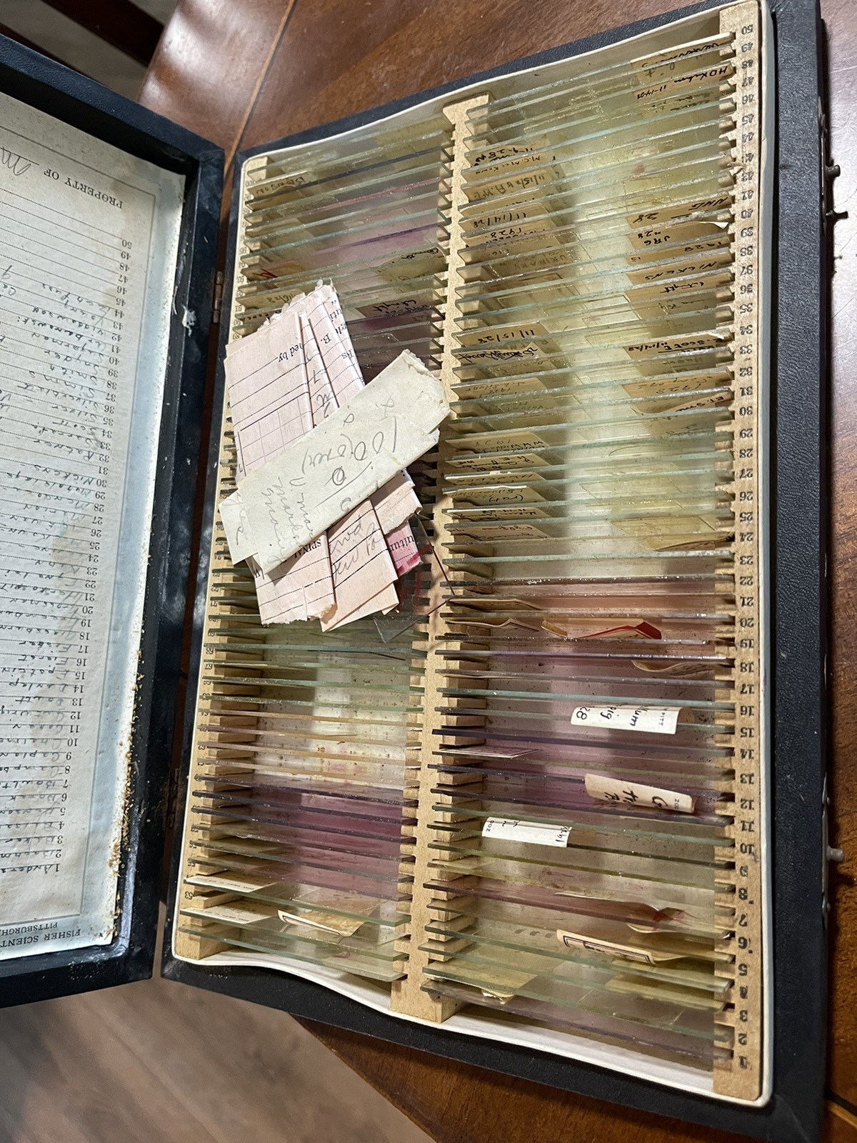 BOX OF 100 ANTIQUE MICROSCOPE SLIDES – ZOOLOGY 1920s Scientific