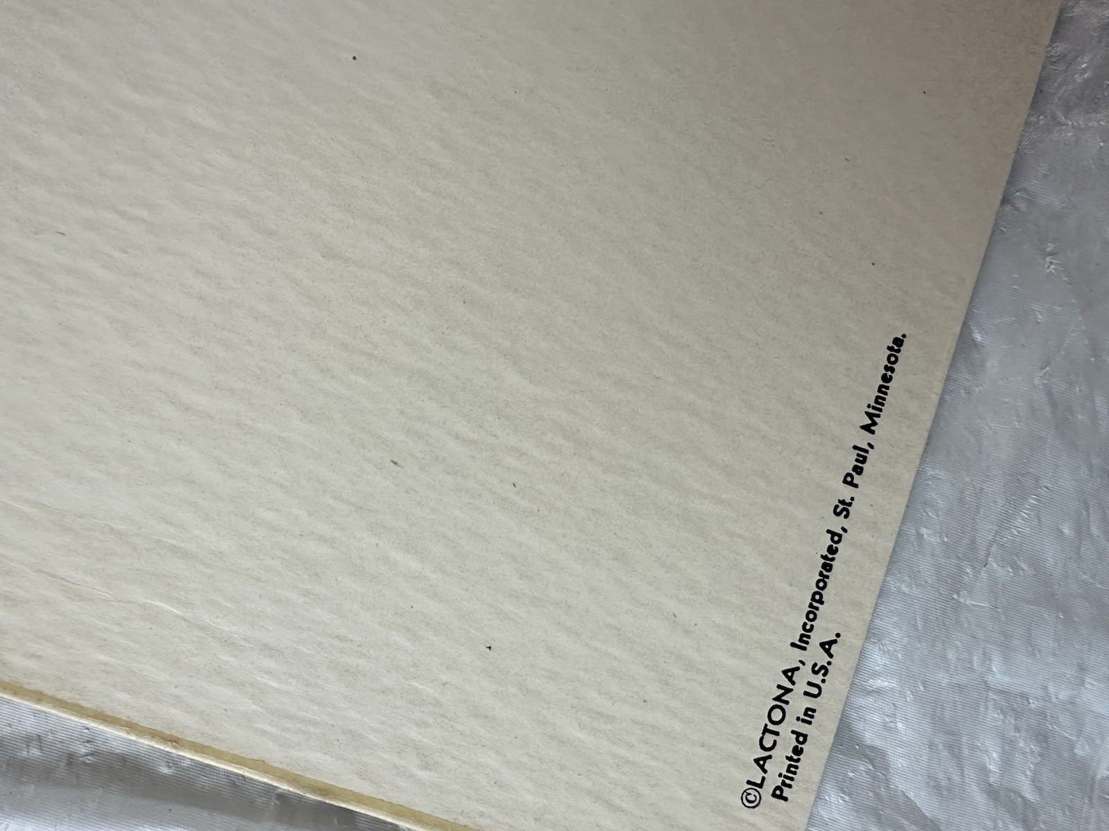 Vintage Lactona Inc Dental Anatomy Diagram Prints 11X8.5 Inches Dentistry