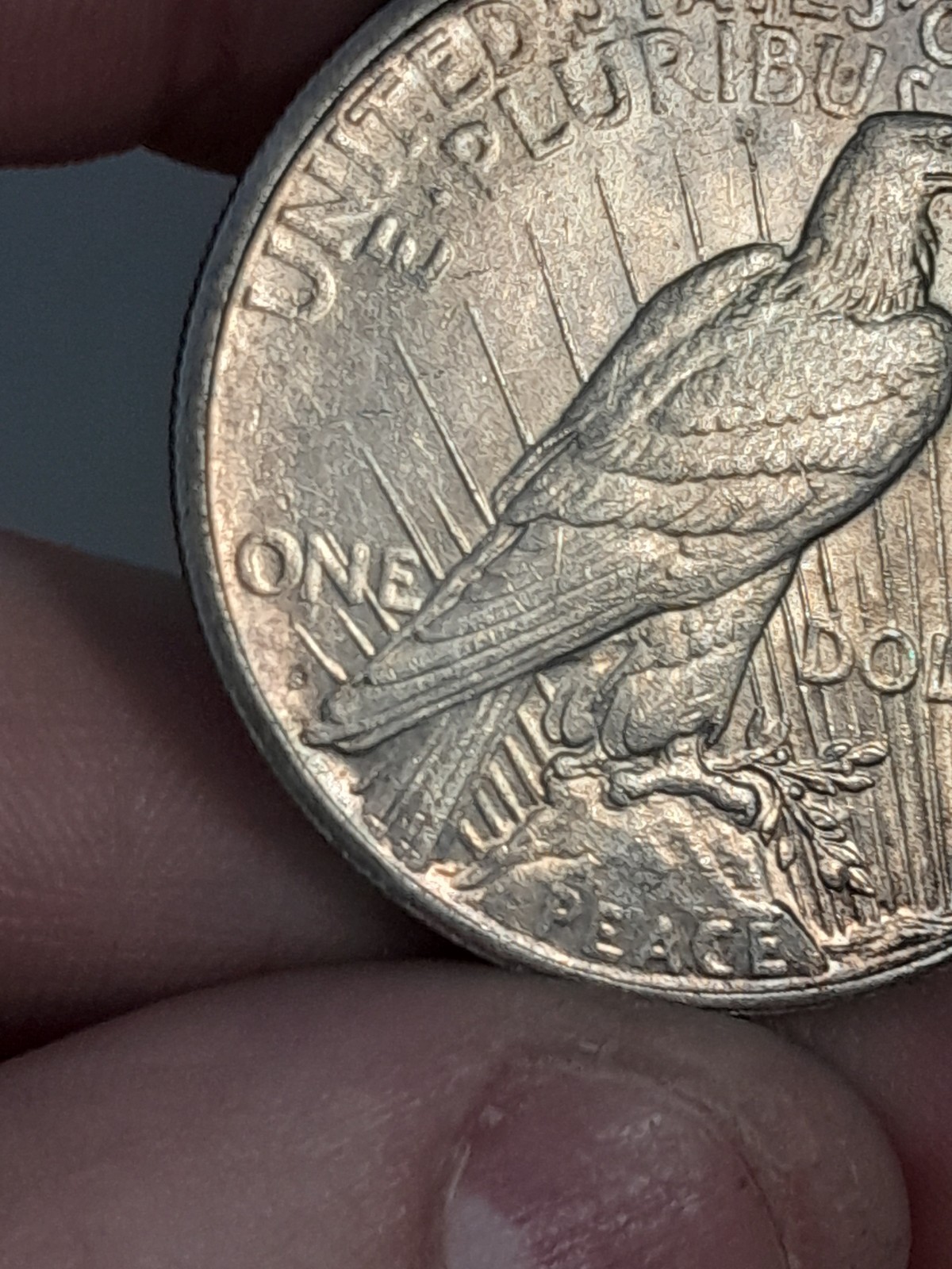 1922- S Peace Dollar Toned #5