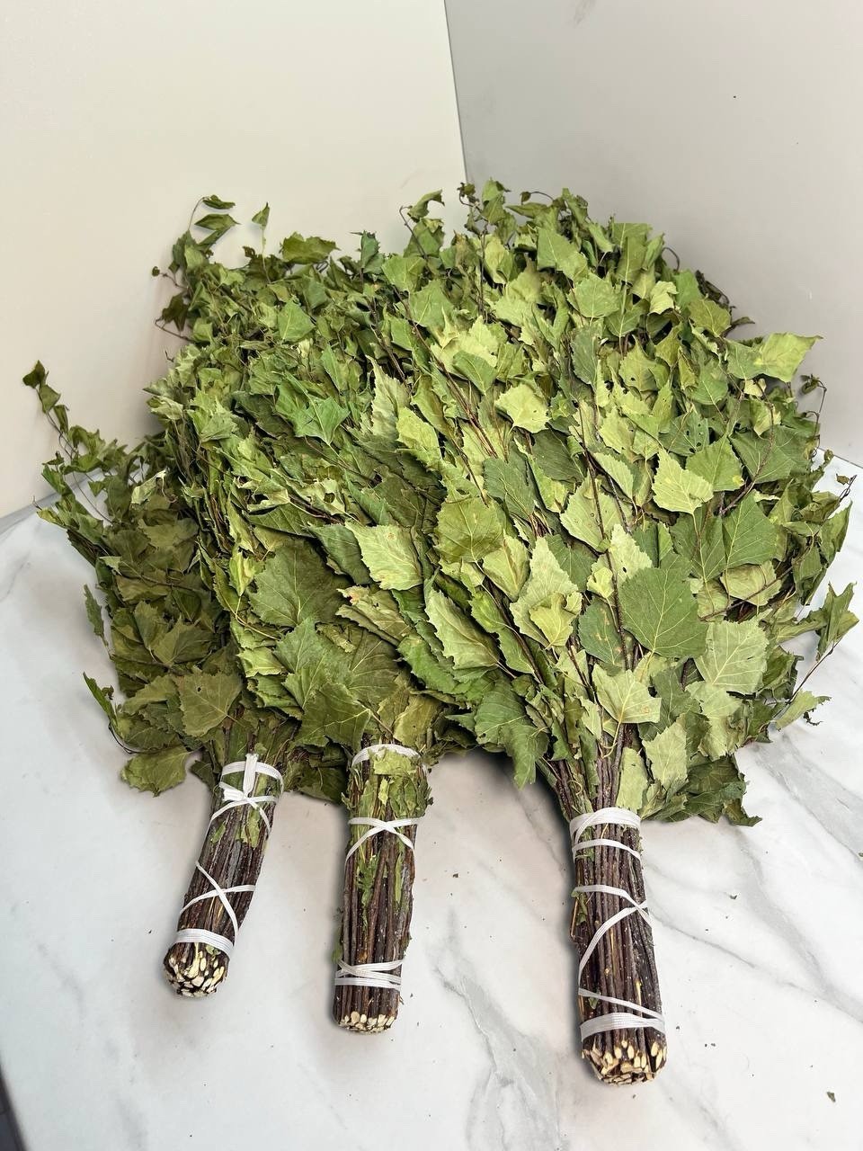 12 Birch brooms NEW SEASON 2025 sauna banya venik Eiche whisks eco Ukrainian