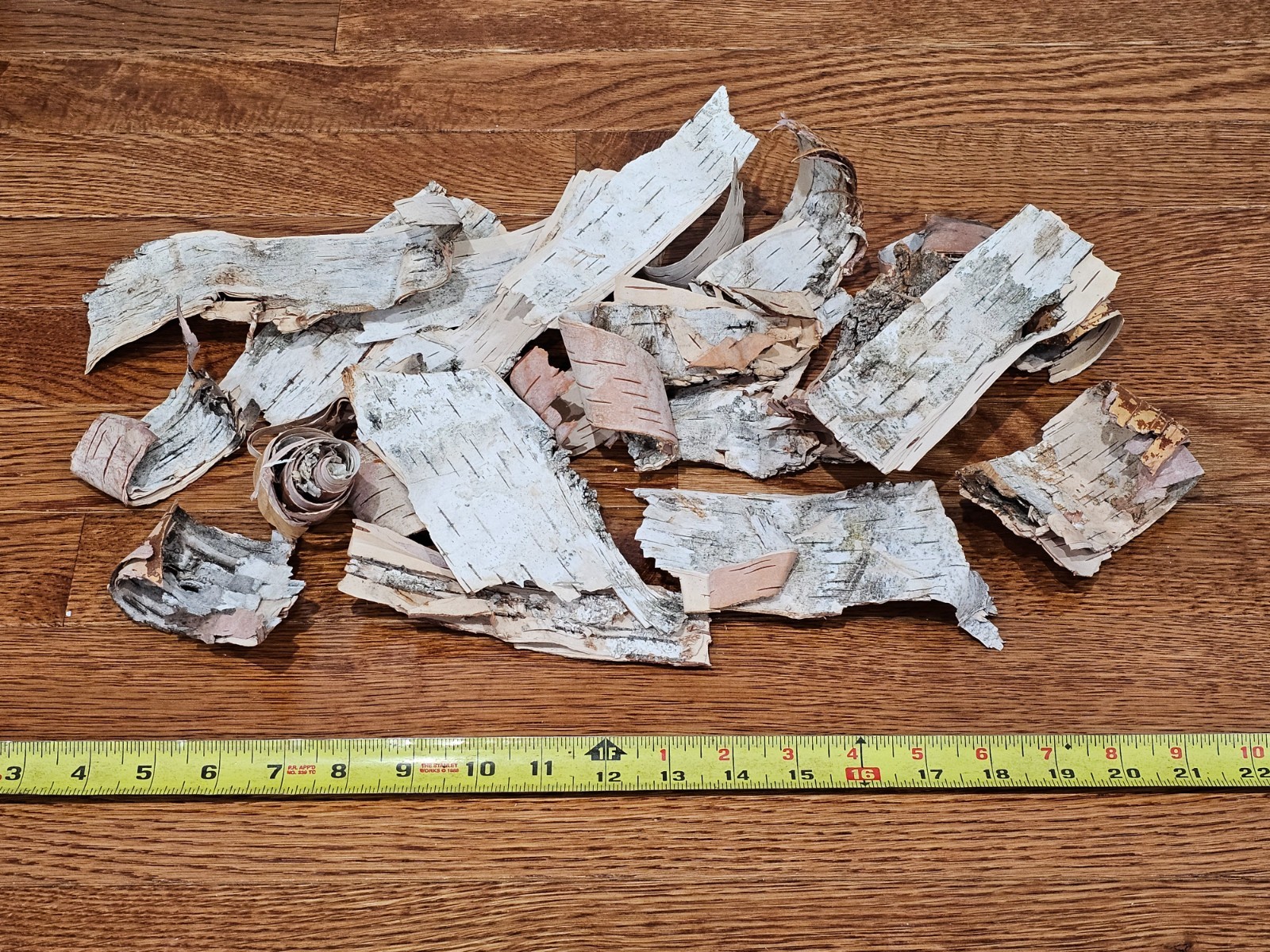 Birch Bark for Firestarters or Crafts