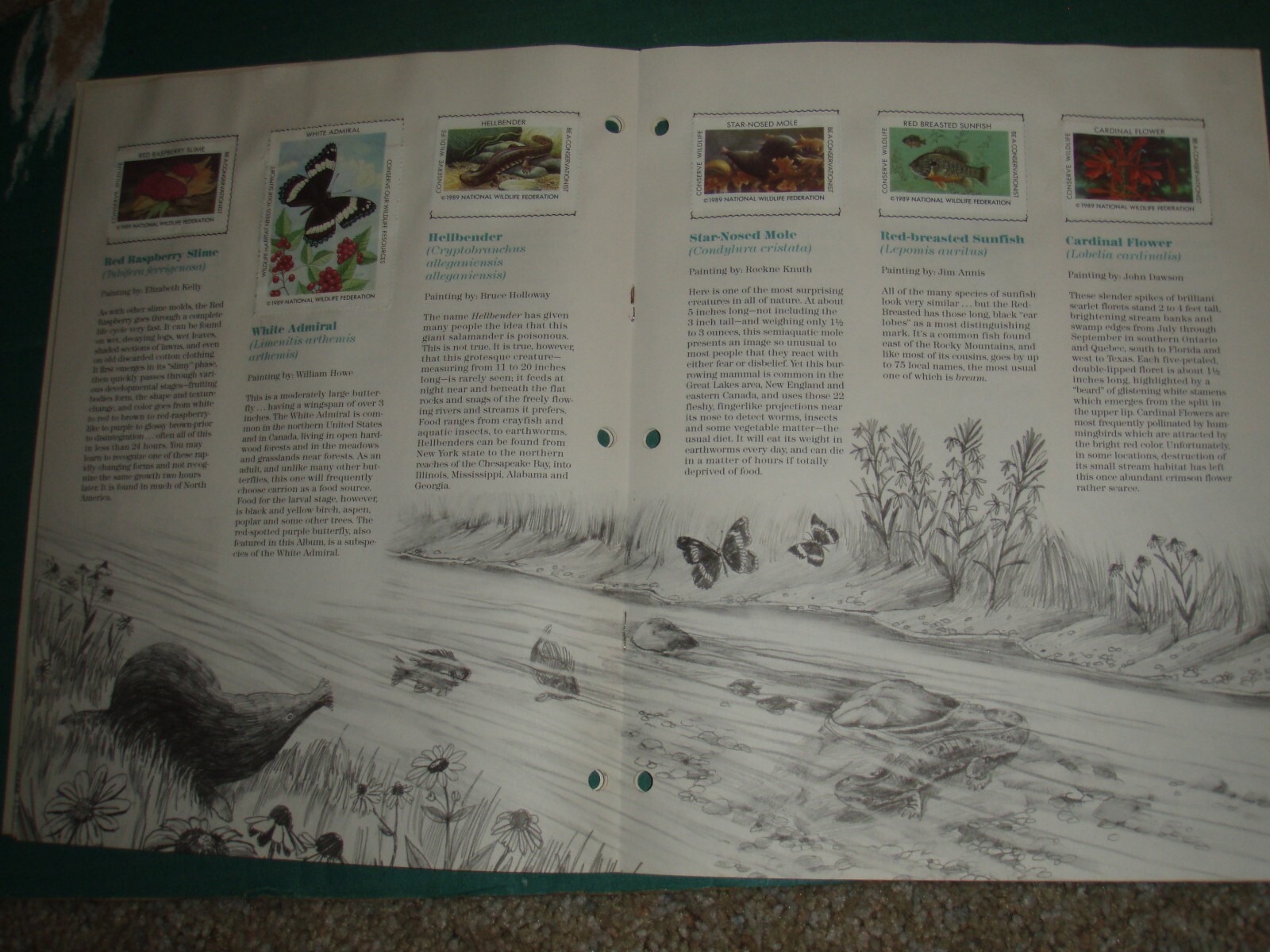 usa stamps collections lots-19th century forward on old album pages