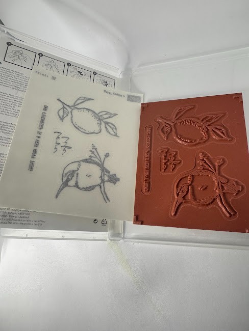 Stampin Up NEW Stamp Sets Multiple Discounts Choose