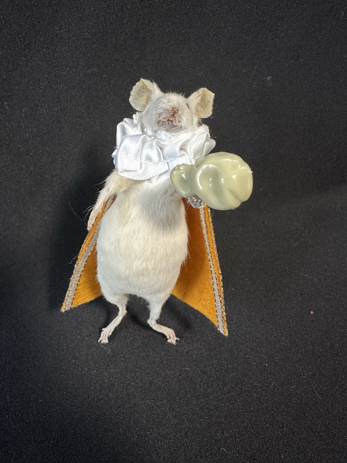 Taxidermy Mouse Hamlet Mouse Oddities Curiosities Taxidermy Art