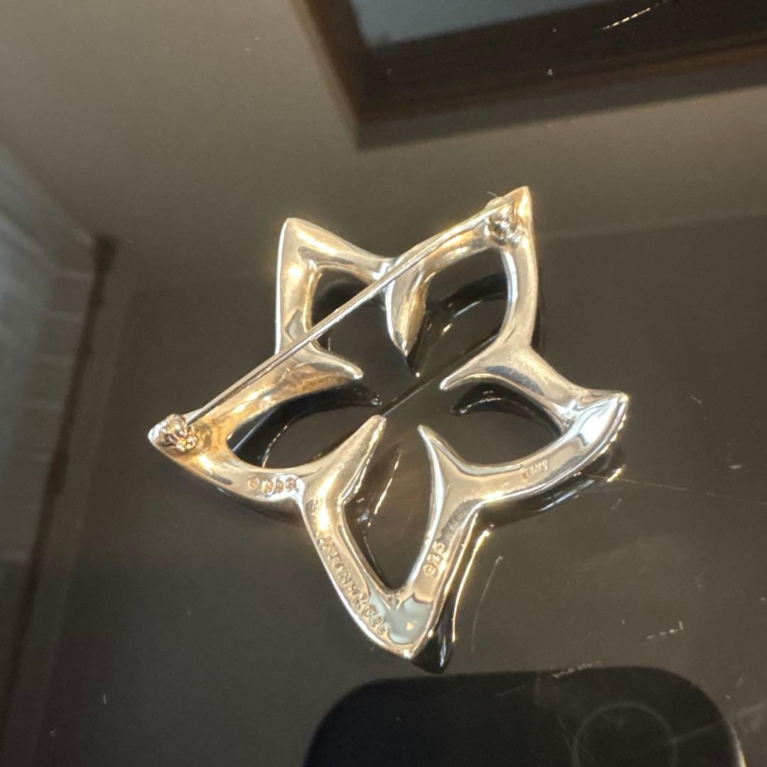 Tiffany & Co. Plumeria Flower Brooch Pin Sterling Silver SV925 No Box Rare