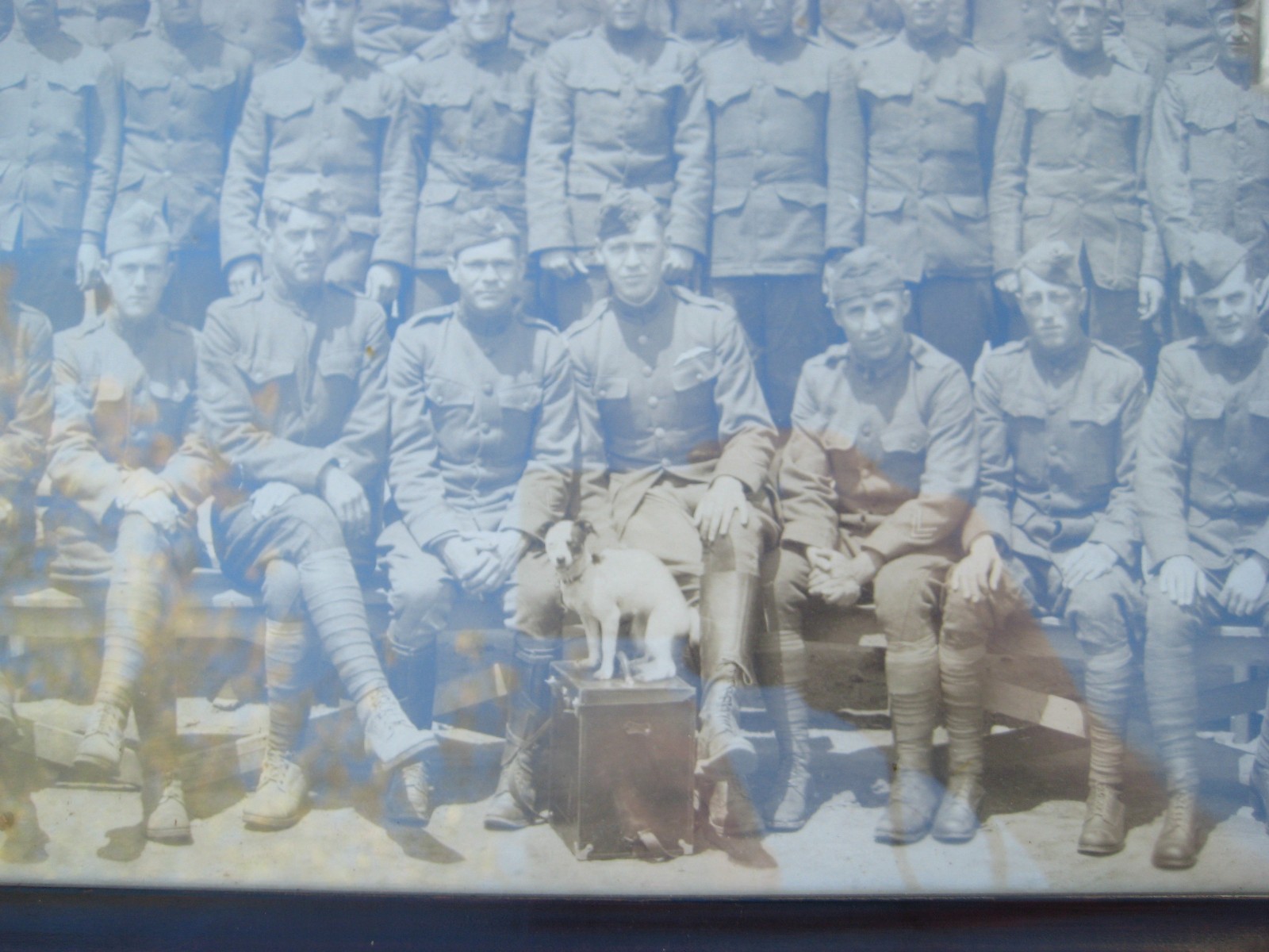 WWI 370th Aero Squadron Yardlong Back From France Named Pilot w/ Jack Russell