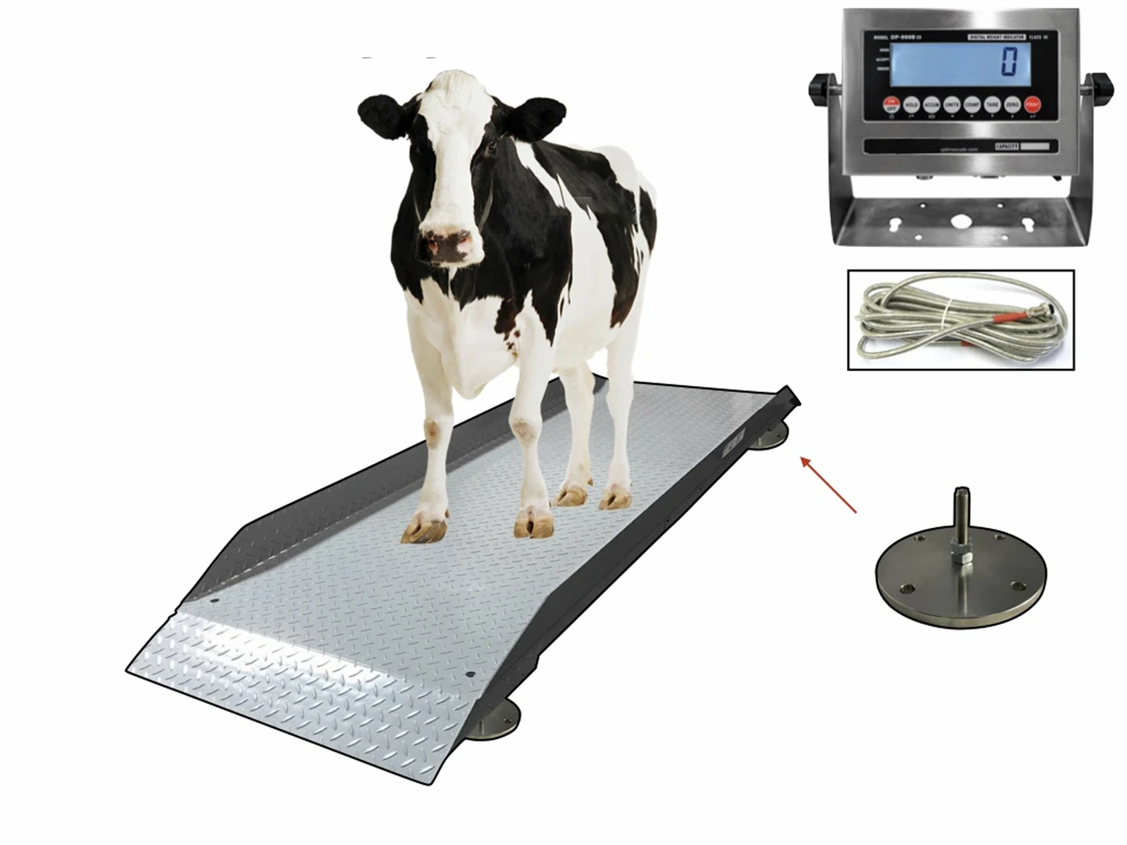 SellEton SL-929 Livestock & Cattle Alleyway Scale LCD 5000 lbs x 1 lb