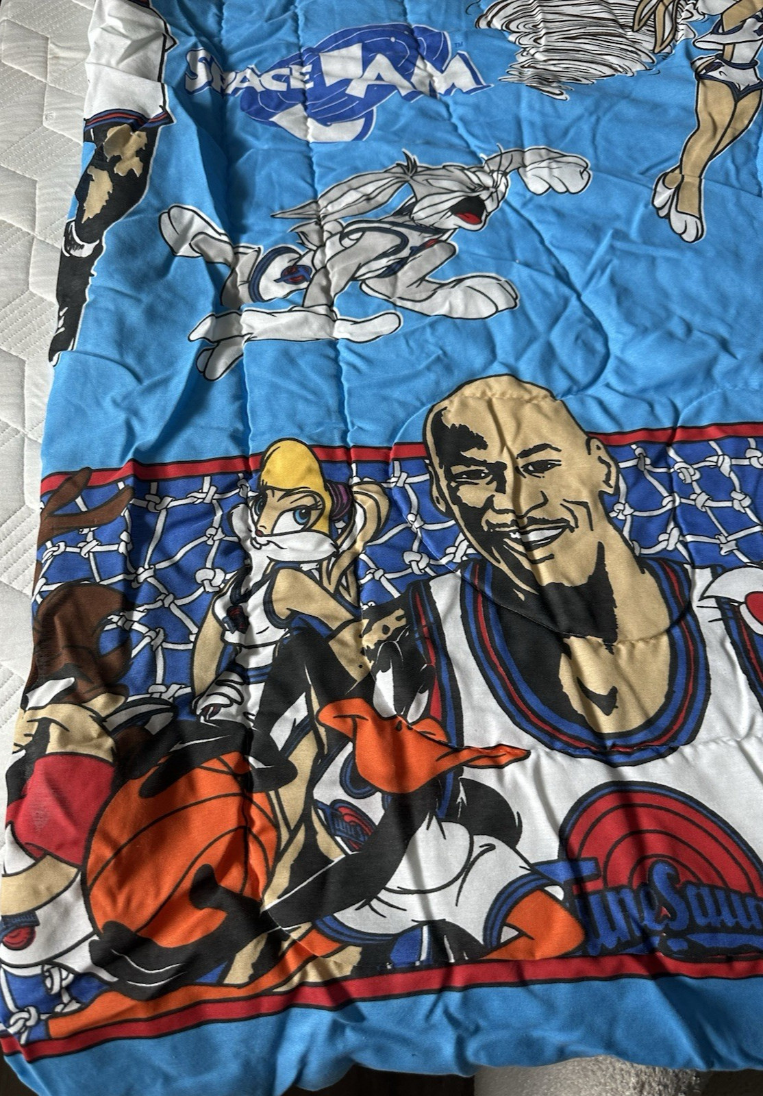 Vintage 1996 Space Jam Comforter Michael Jordan Looney Tunes Bugs Bunny TWIN