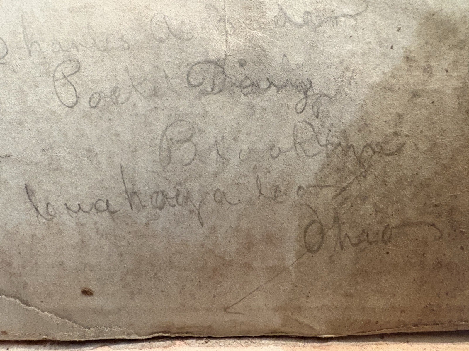 Excelsior Diary 1876 Hand Written Leather Rare Original