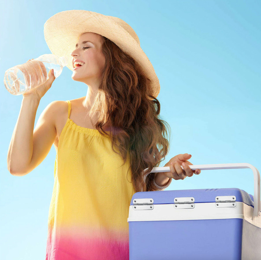 Igloo Cooler Replacement Hinges & Screws Stainless Steel