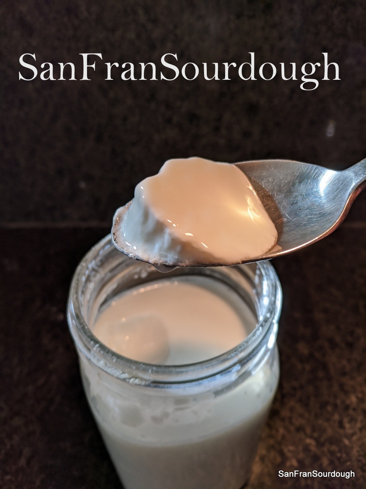 Viili Culture Yogurt Starter Mesophilic room temperature dried starter