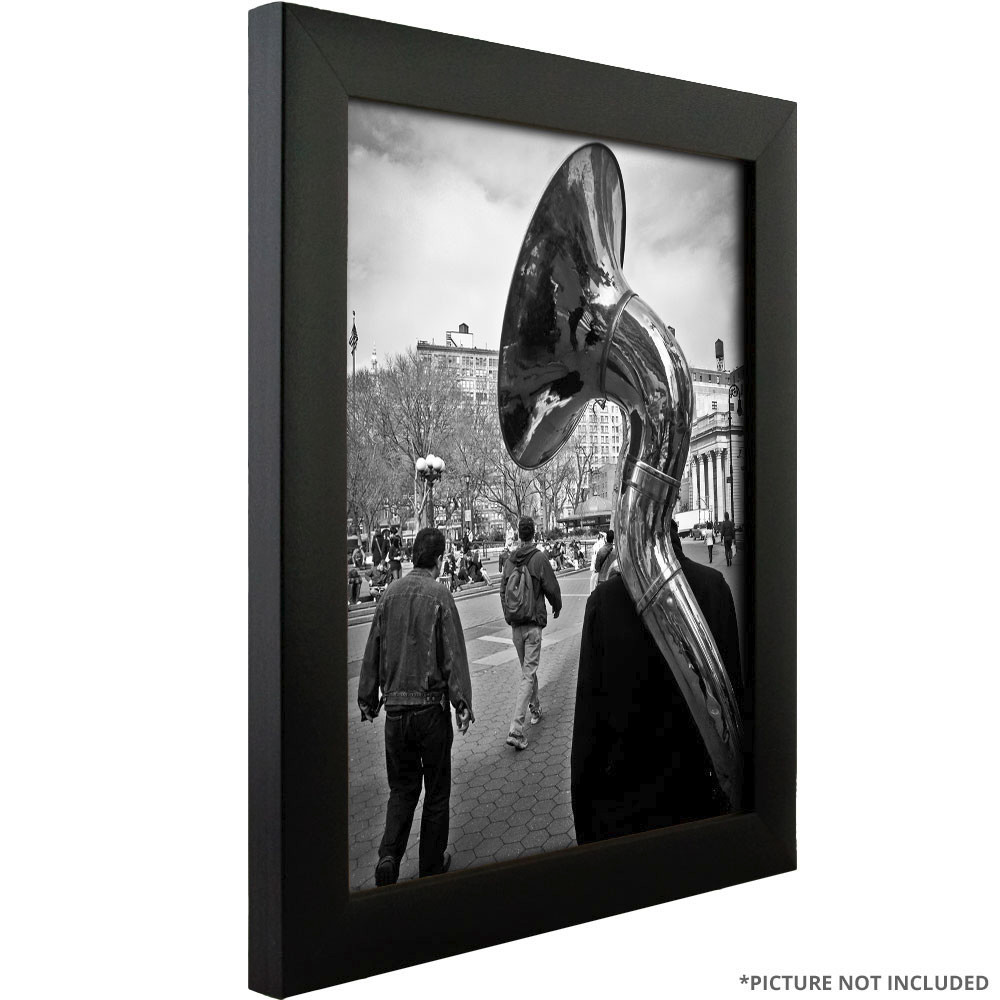 Craig Frames 1" Wide Modern Satin Black Assembled Picture Frames & Poster Frames