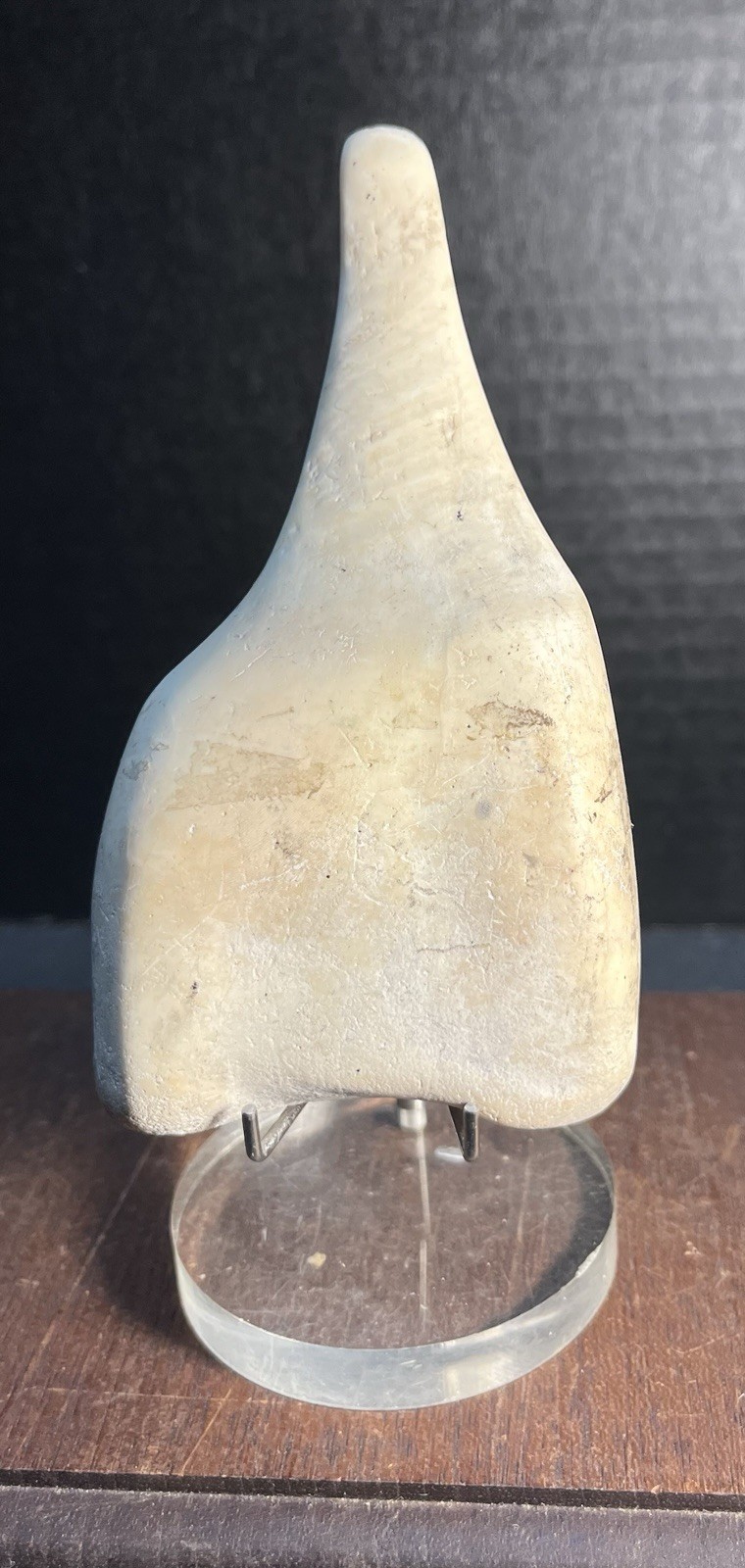 Mayan PreColumbian Authentic Conch Shell Ladle Rare Artifact Found In Belize