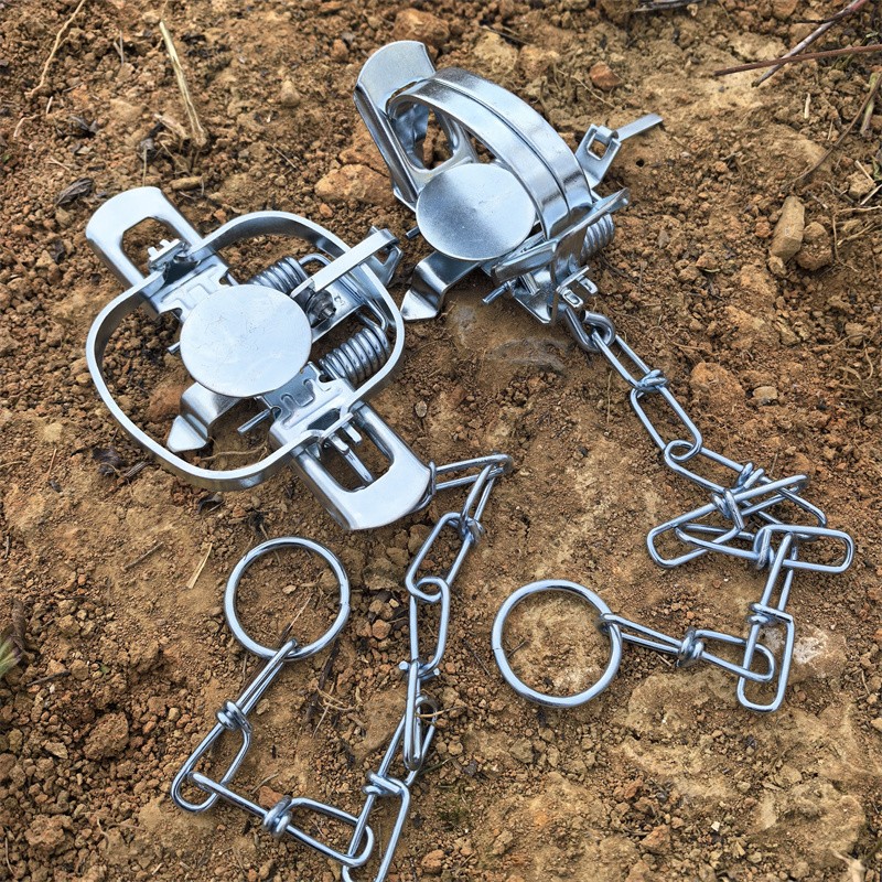 2-Packs 4-3/10 Inch Coil Trap Mouse Raccoon Mink Nutria Muskrat Groundhog Rat