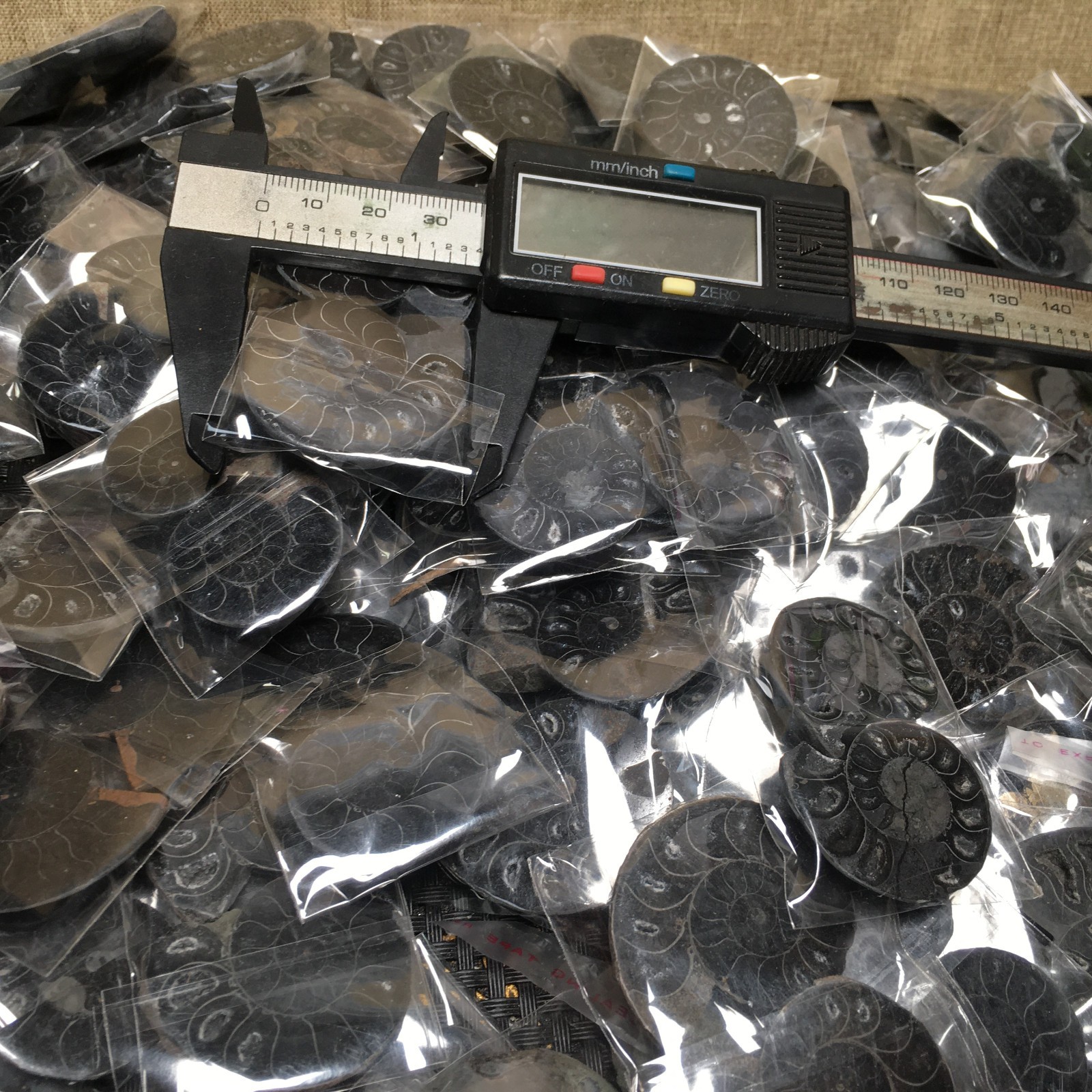 10 Pairs of Split black Ammonite Specimen Shell Healing