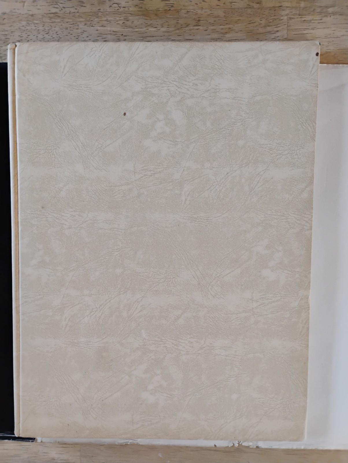 RARE GERMAN DEATH MASK BOOK WW2 PROPAGANDA THIRD REICH WWII ROSEMARIE CLAUSEN