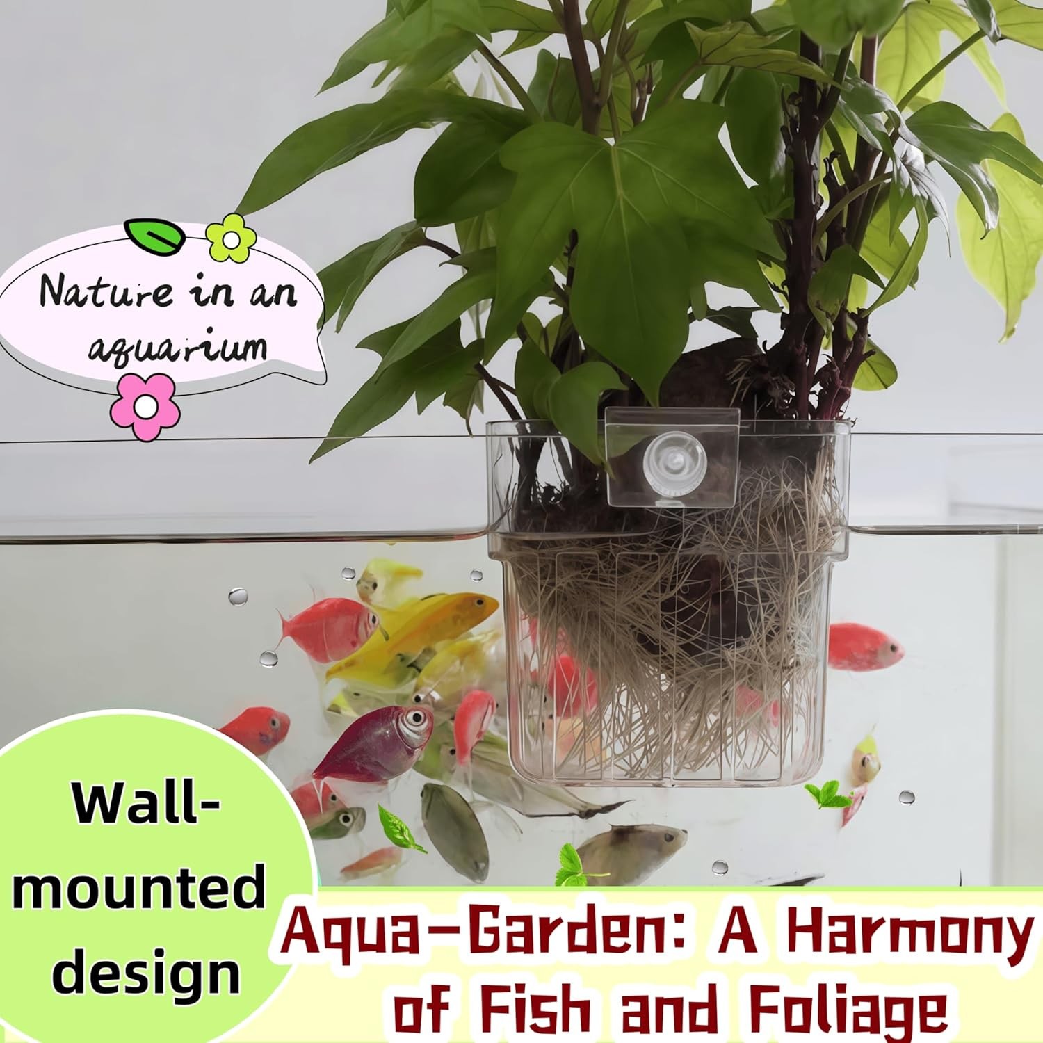 2 Pack Clear Aquarium Plant Holder Top Hanging Fish Tank Plant Holders Fits up t