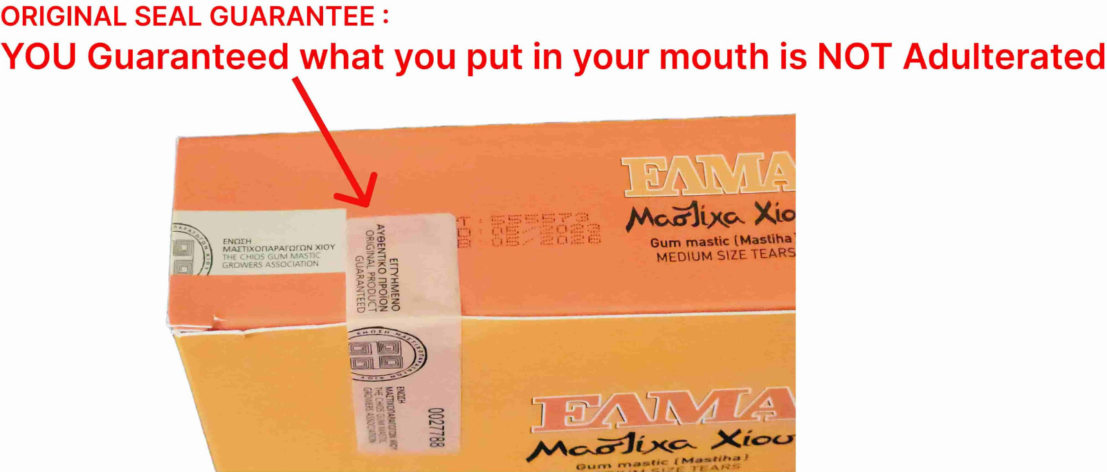 TOP GRADE Organic MASTIC GUM 25Gr (0.88Oz) Greek Chios Mastica Masticha Mastixa