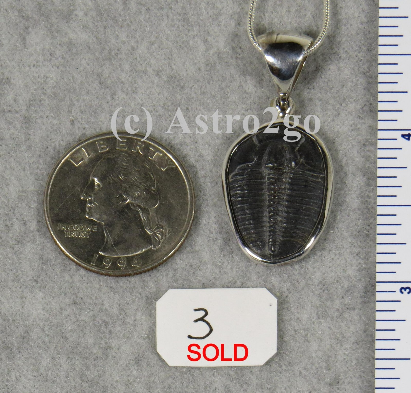 Elrathia Kingii TRILOBITE PENDANT $55 Sterling Silver Jewelry STARBORN CREATIONS