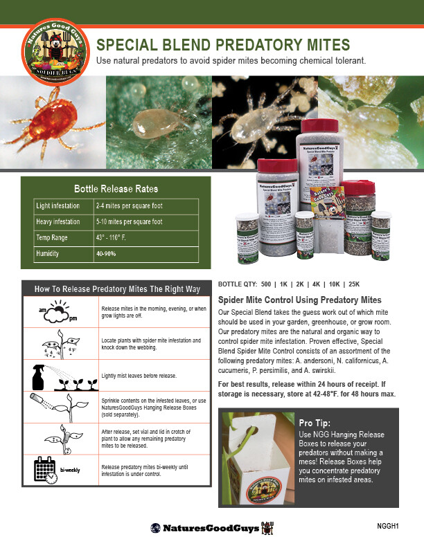Special Blend Spider Mite Control Predatory Mites