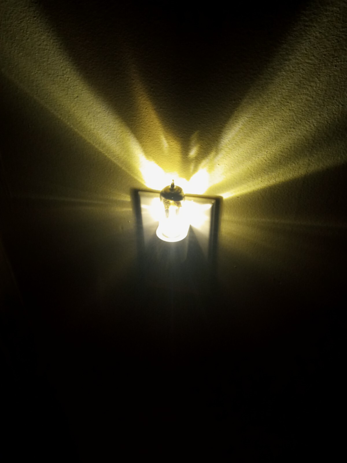 TNTUBES Night Light New 12AX7A Style Vacuum Tube LED White Auto Light Sensing