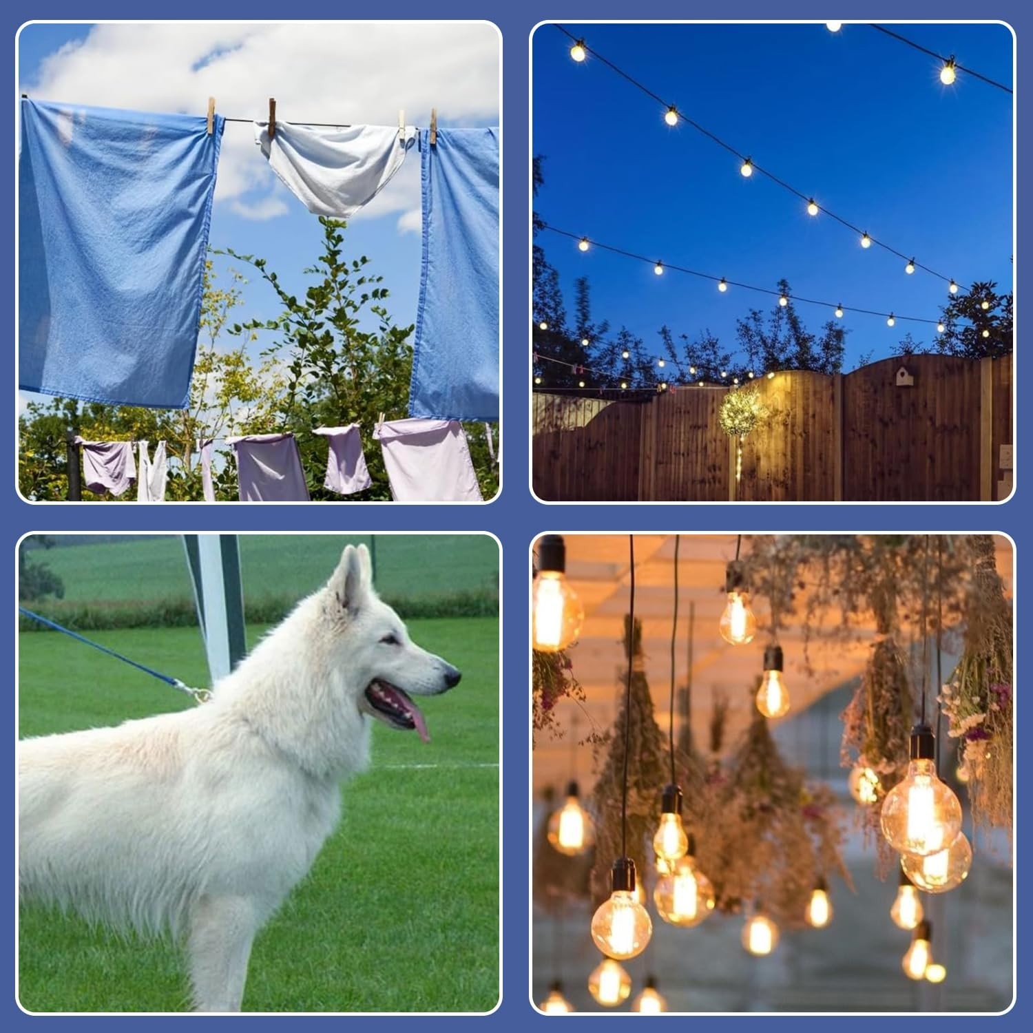 328FT 304 Stainless Steel Wire Rope Cable, Black Vinyl Coated, 150Pcs 1/16''Alum