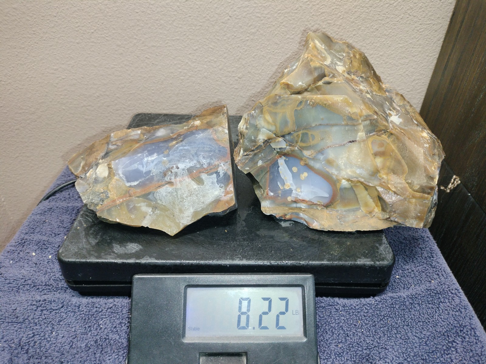 8.2LB 💙 Blue Ice Polka Dot Agate 2pc Rough Lot Ashwood, OR Cabochon Stock #24