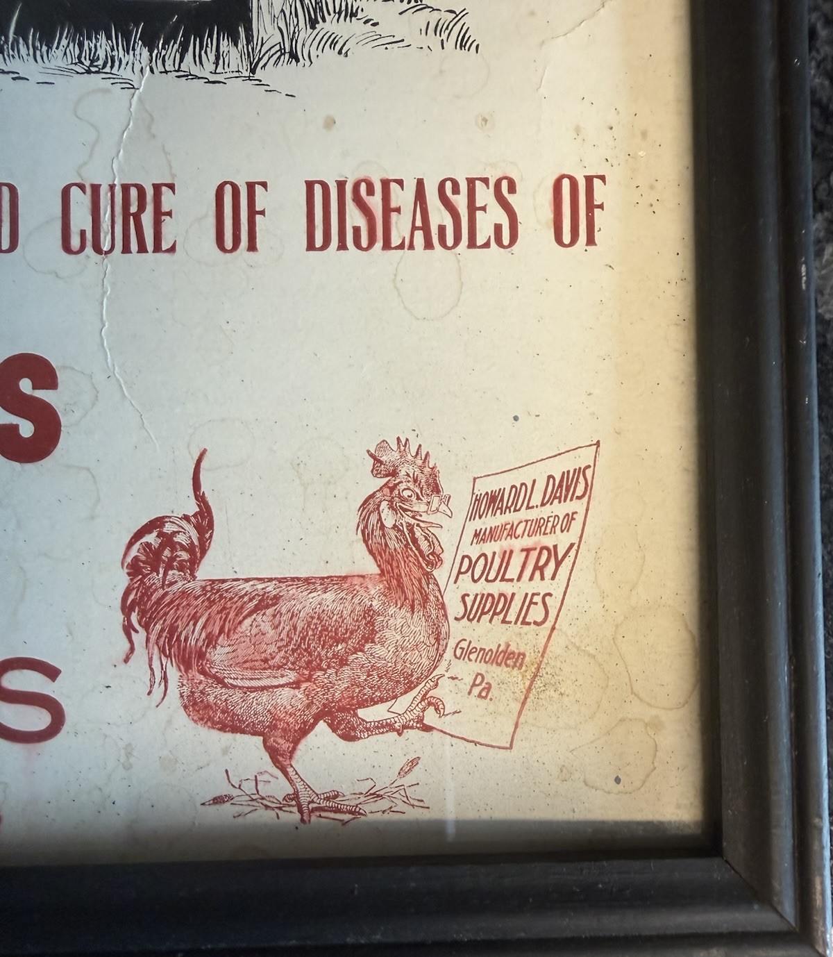 Rare Vtg Howard L. Davis Germ-Asid Graphic Advertising Farm Sign Glenolden PA