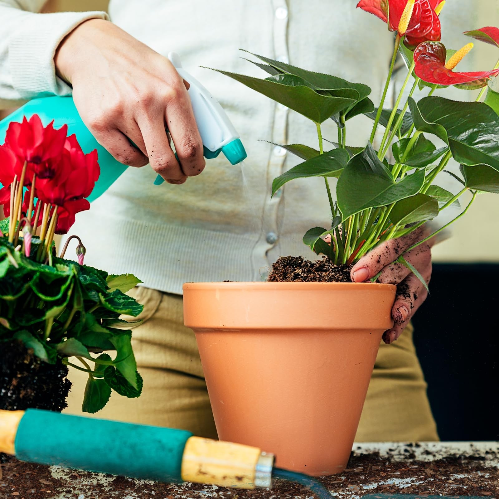 Doter All-Natural Potting Soil for Anthurium & Indoor Plants 10qt - Enhanced Dra