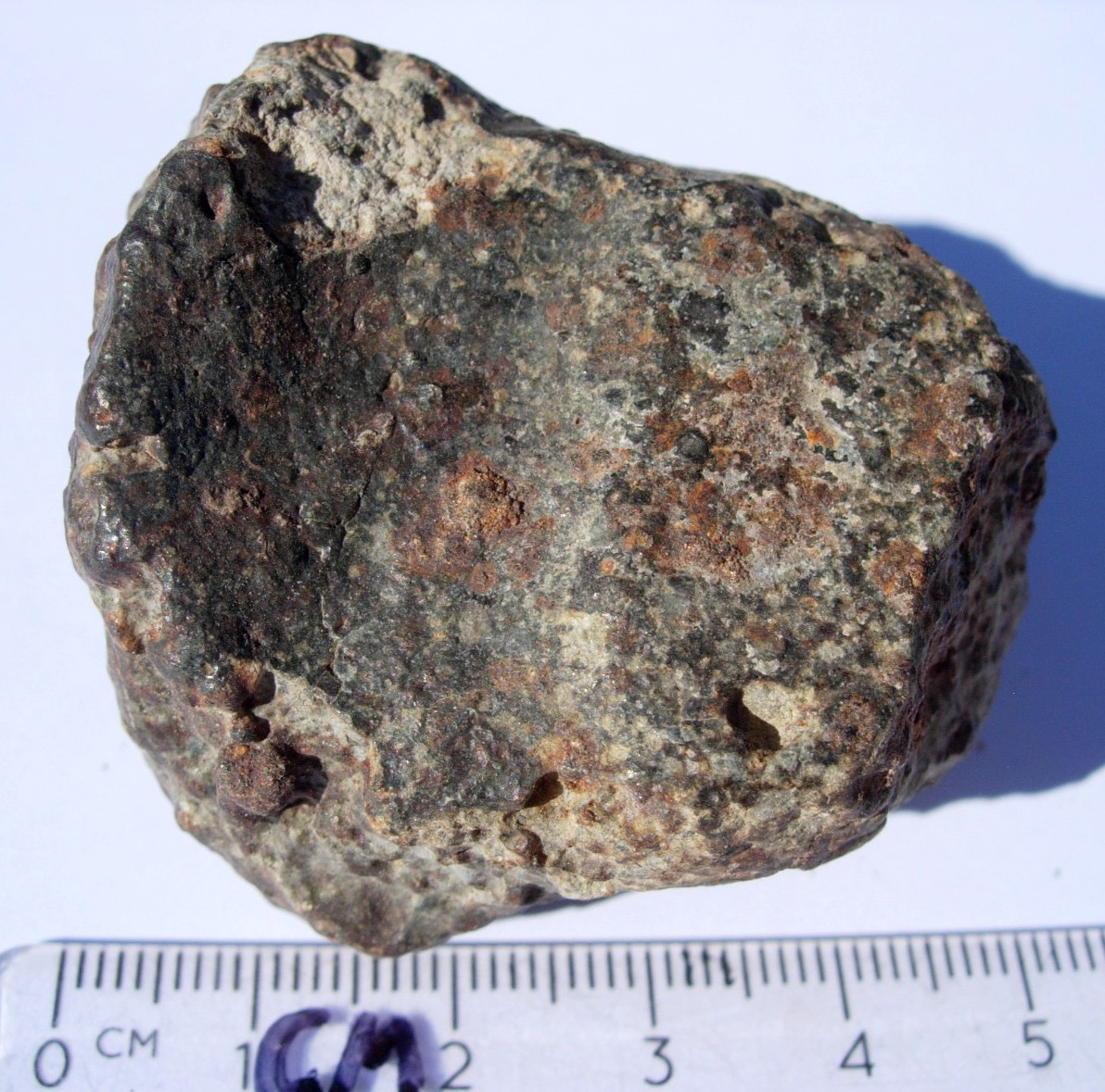98 grams NWA 869 Meteorite ( class L3-6 ) as found individual with a COA