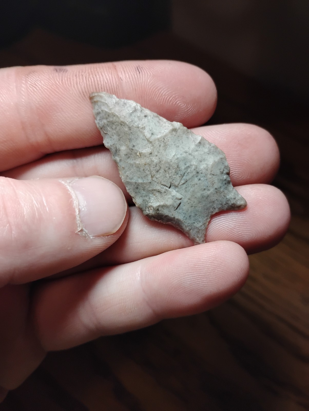 Killer Ohio Paleo Point Ground Base Wafer Thin Authentic!!