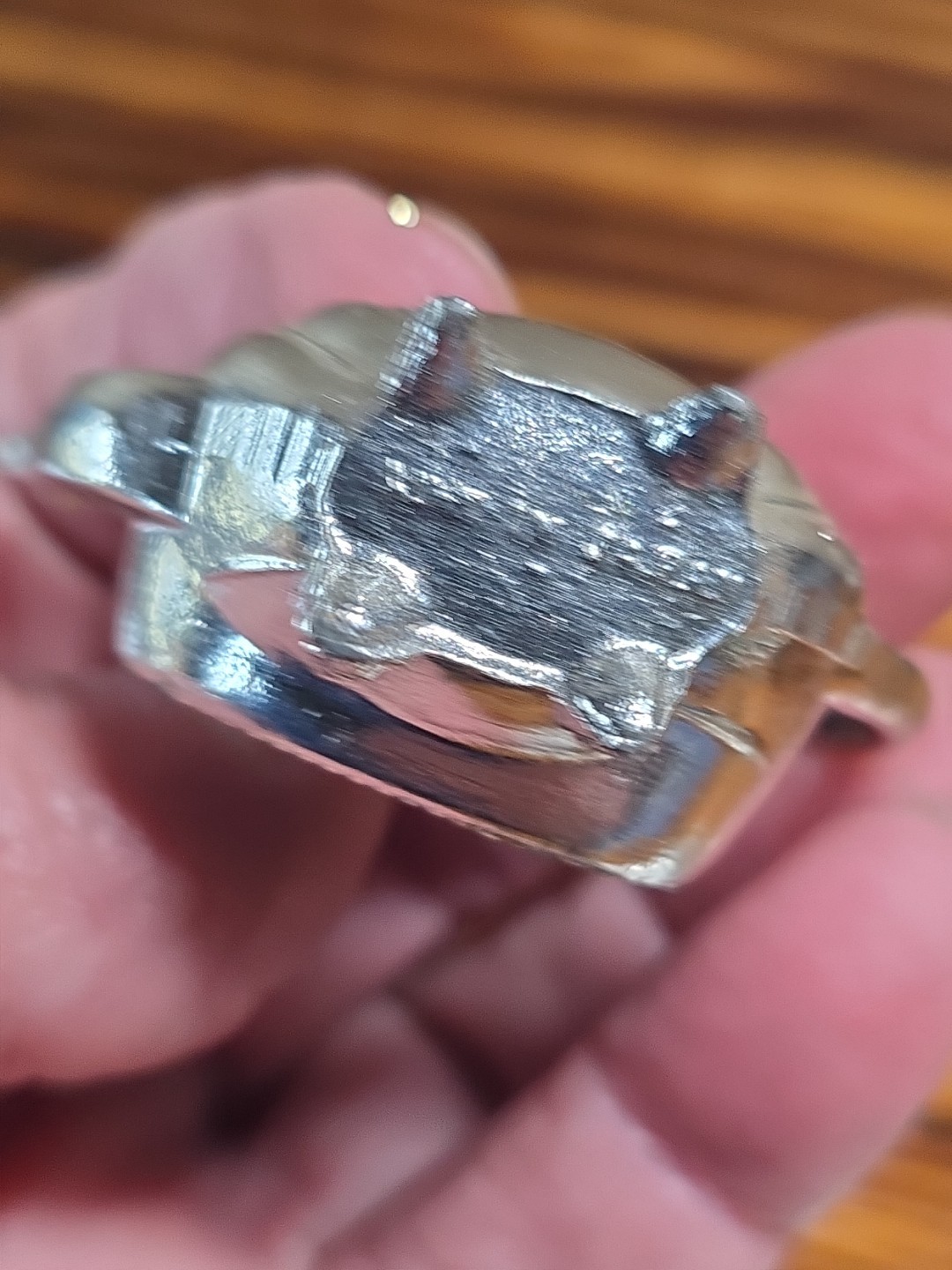 Vintage 1960s-70s Salt & Pepper Shakers Tea Set w/Tray Chicago Natural History